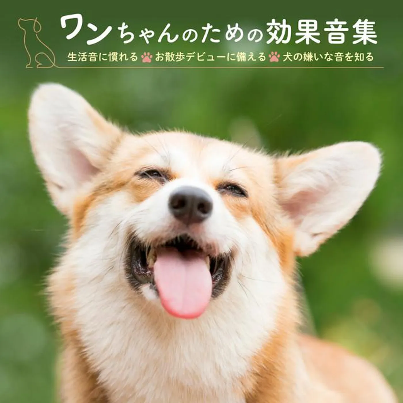 日本サウンド・エフェクト研究会