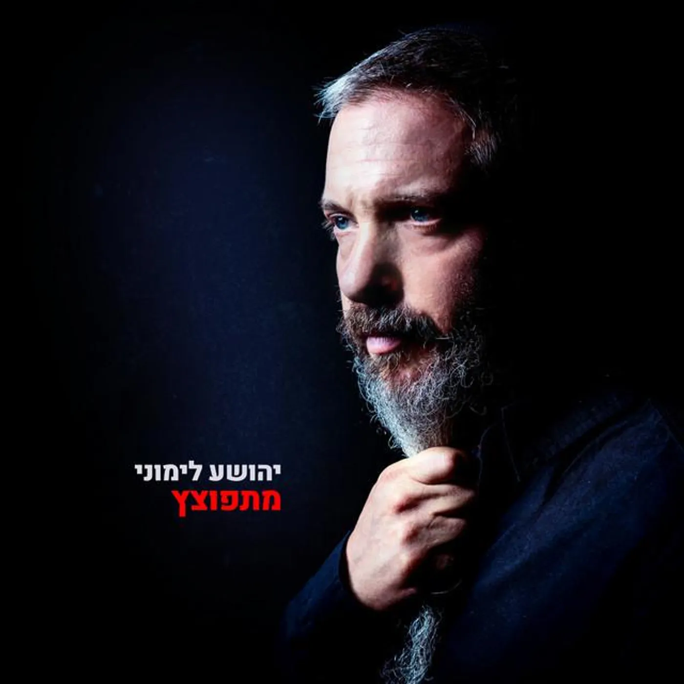 יהושע לימוני