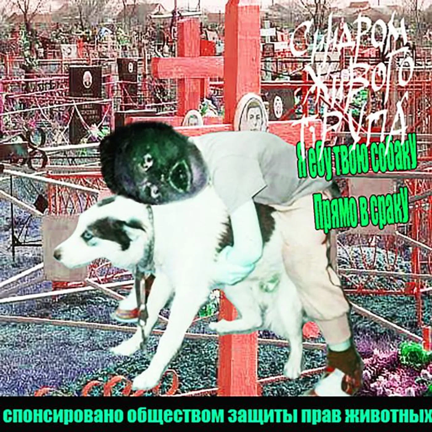 Синдром Живого Трупа