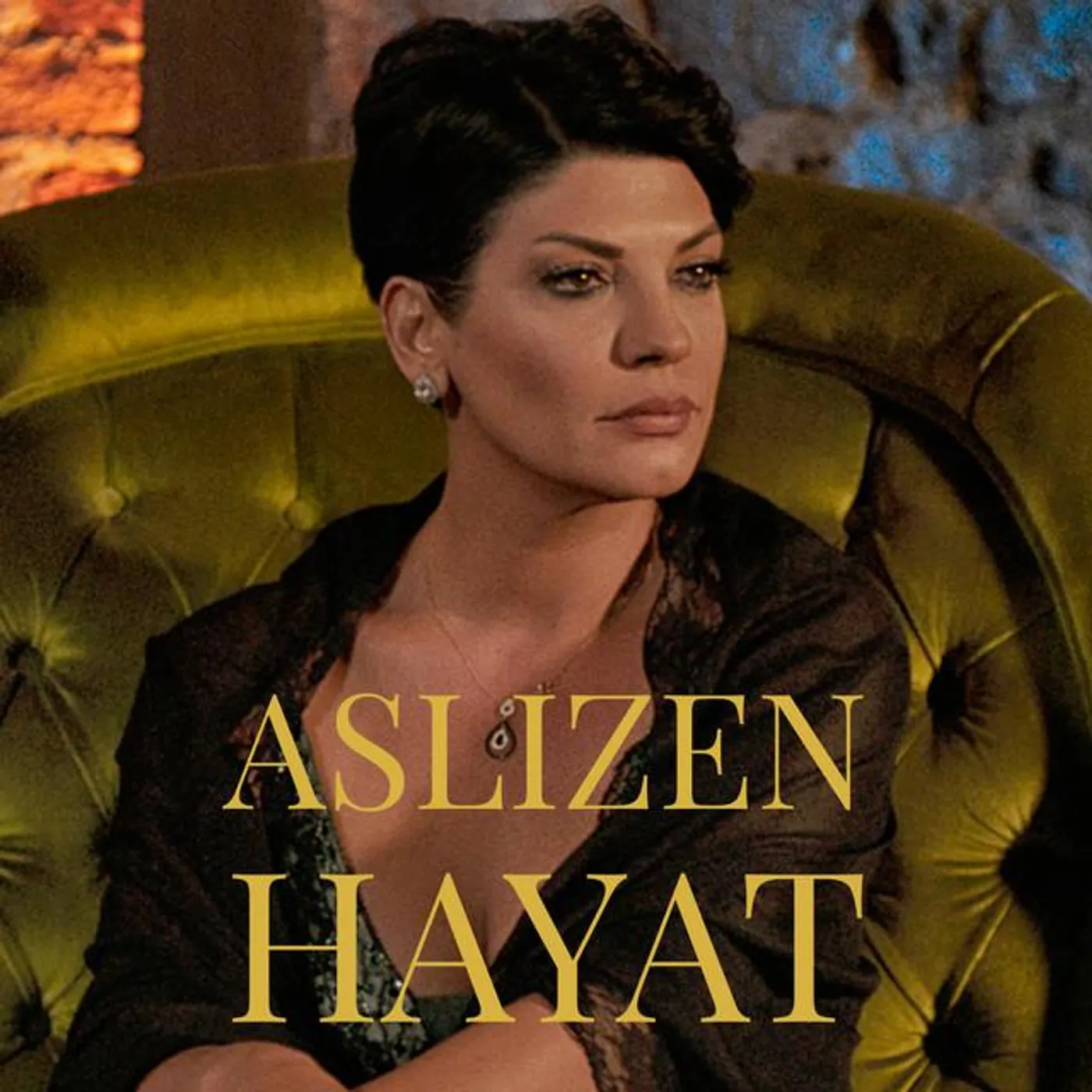 Aslızen Brand Page