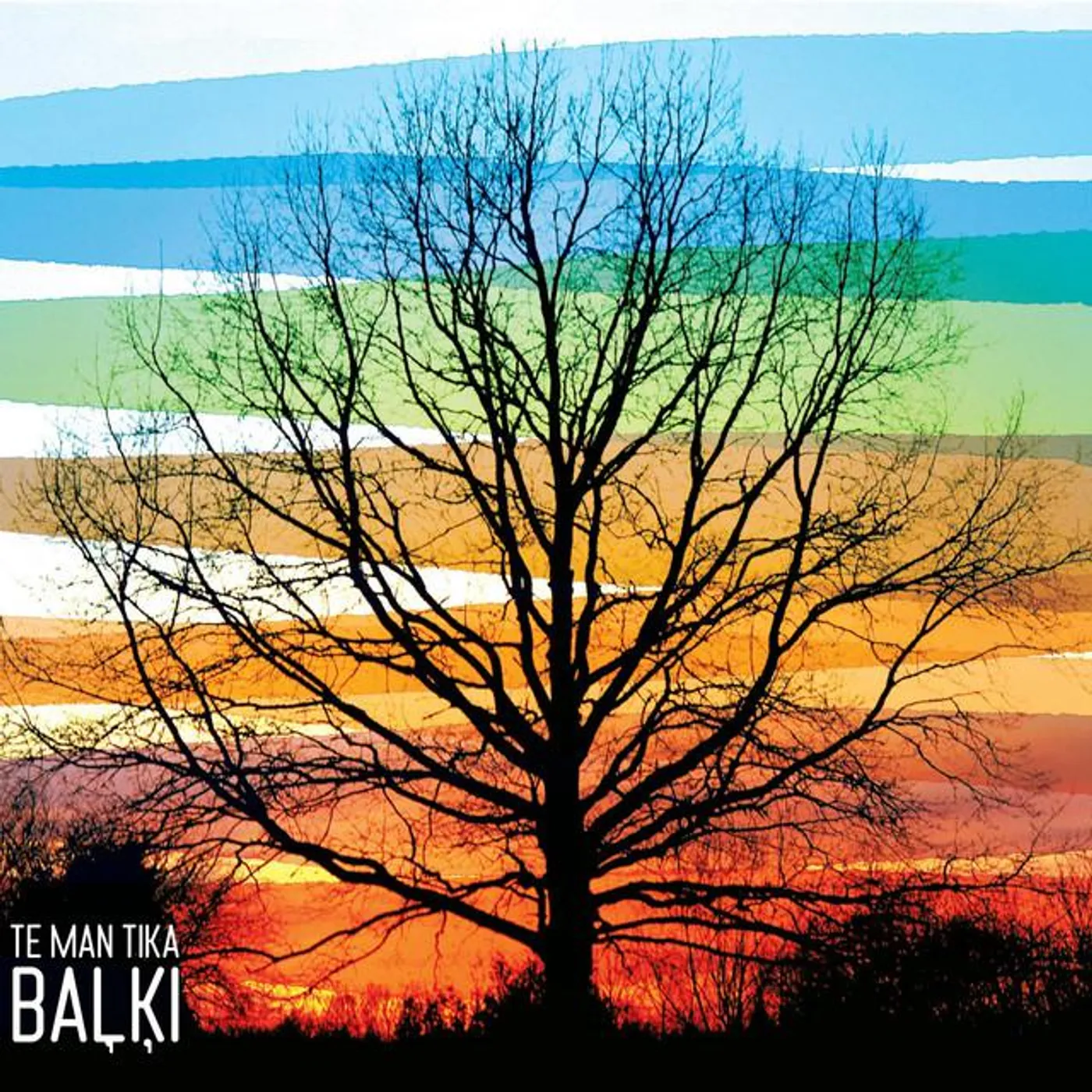Baļķi Brand Page