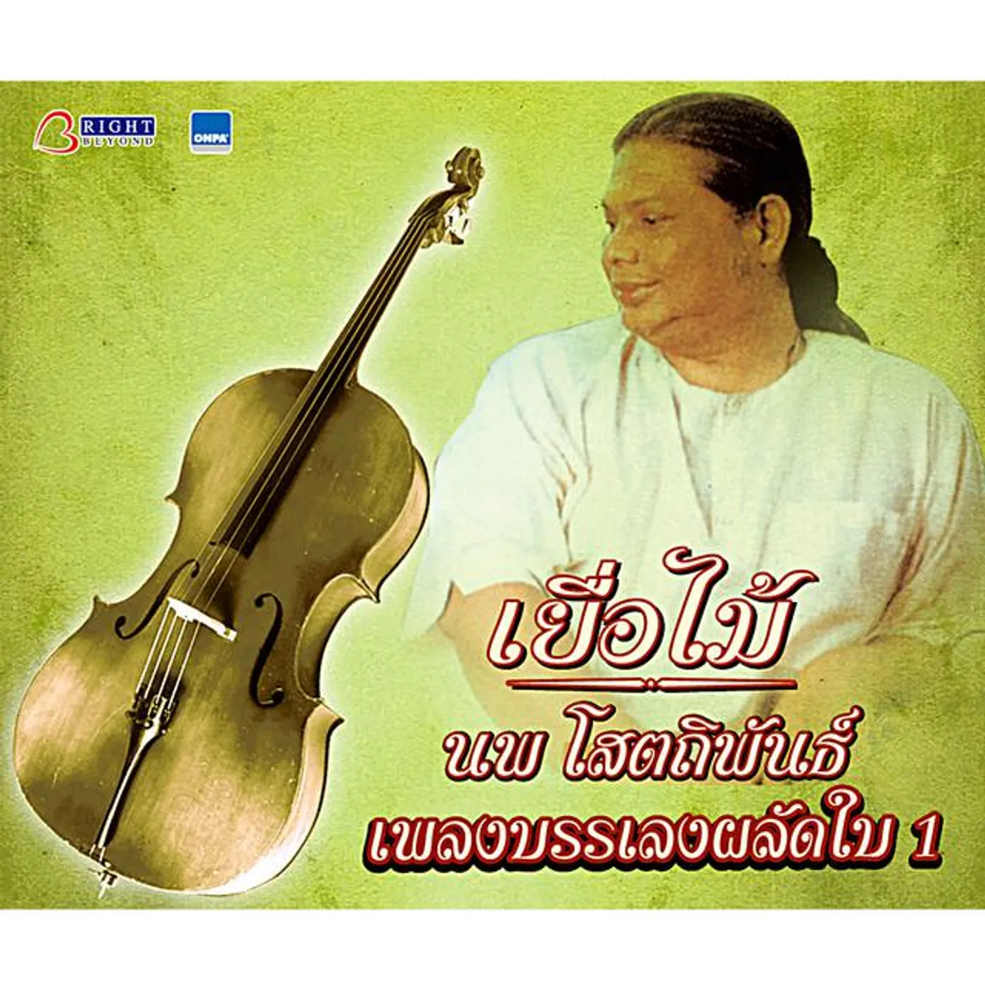 เยื่อไม้ นพ โสตถิพันธ์