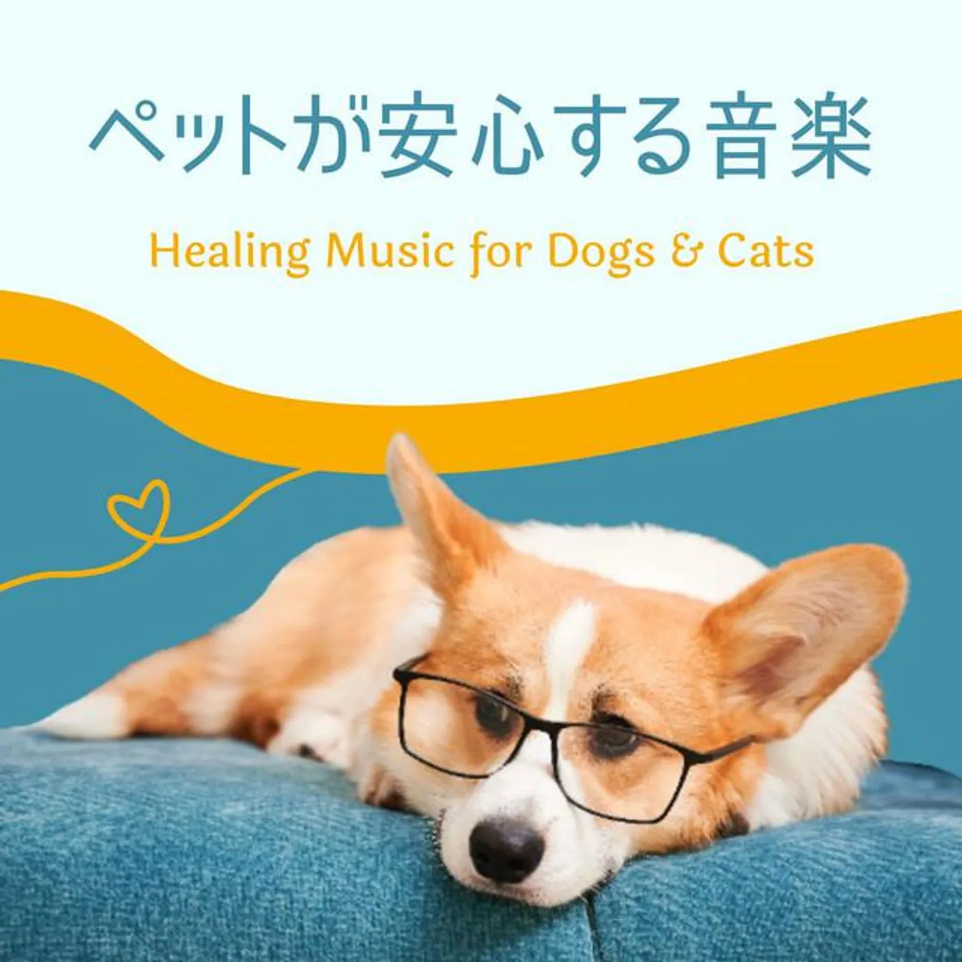 犬の鼓腹