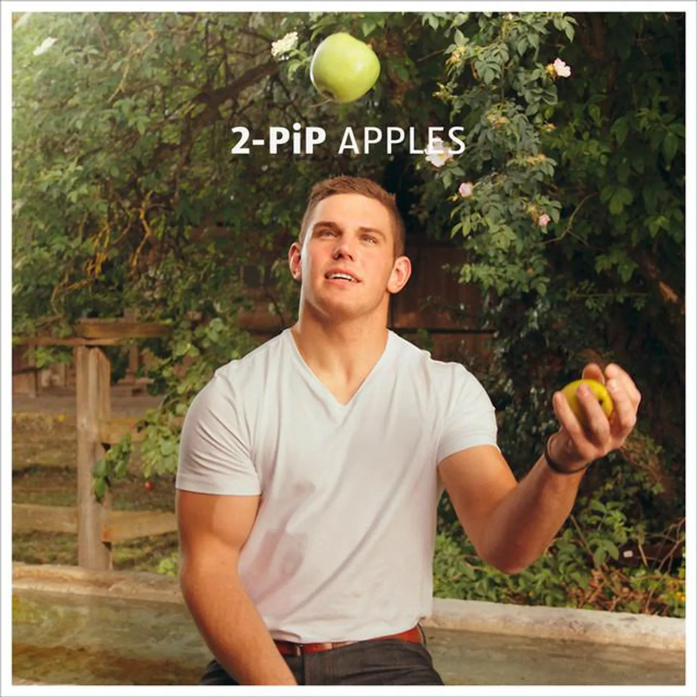2-PIP