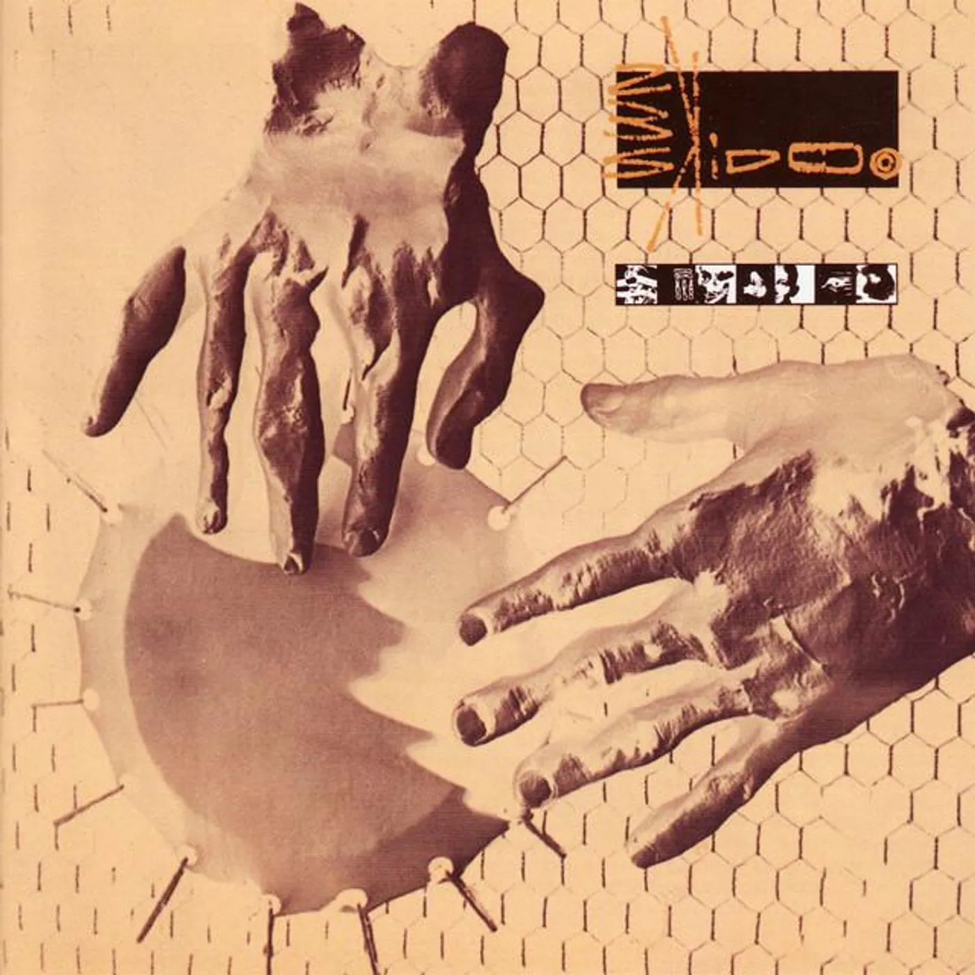 23 Skidoo Brand Page