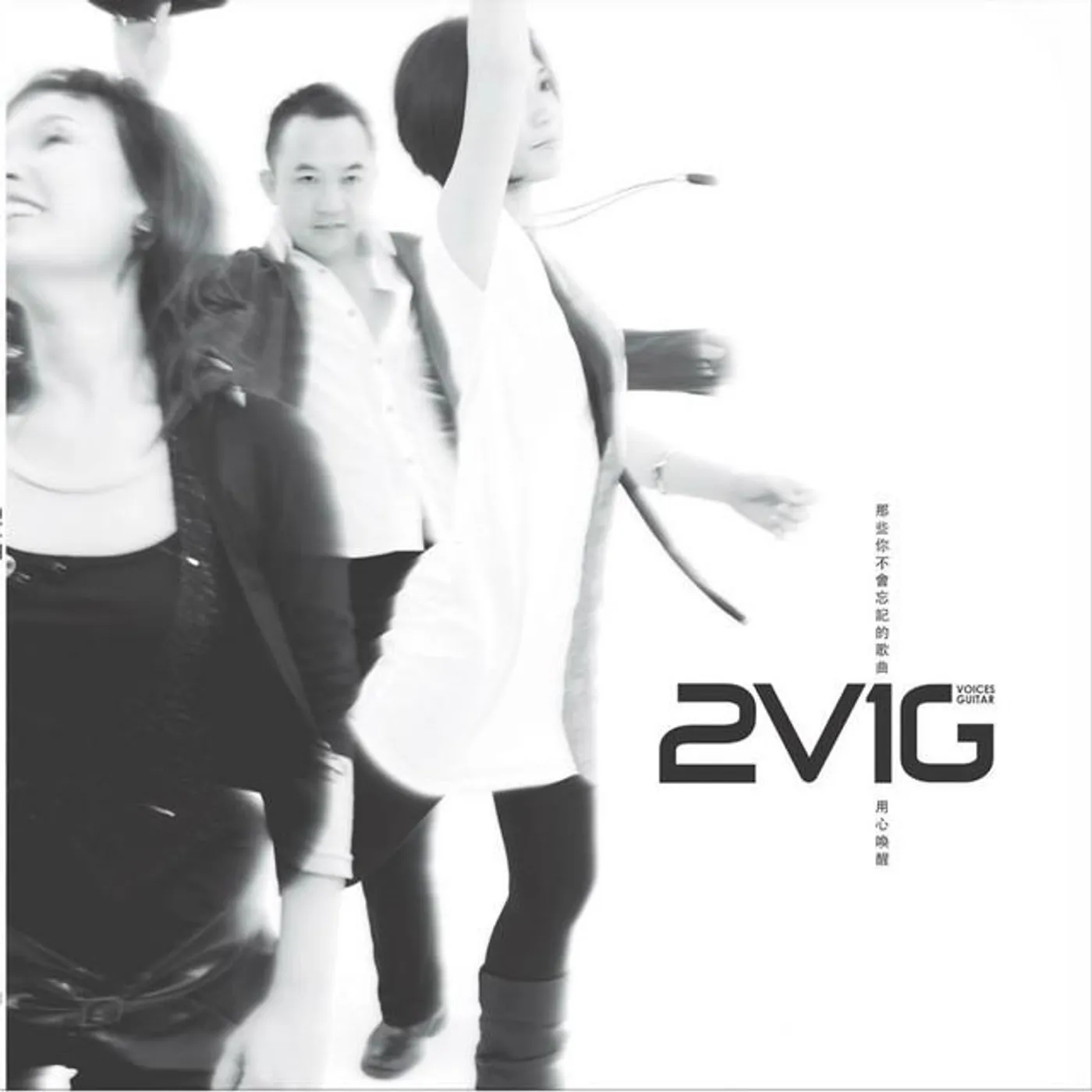 2V1G Brand Page