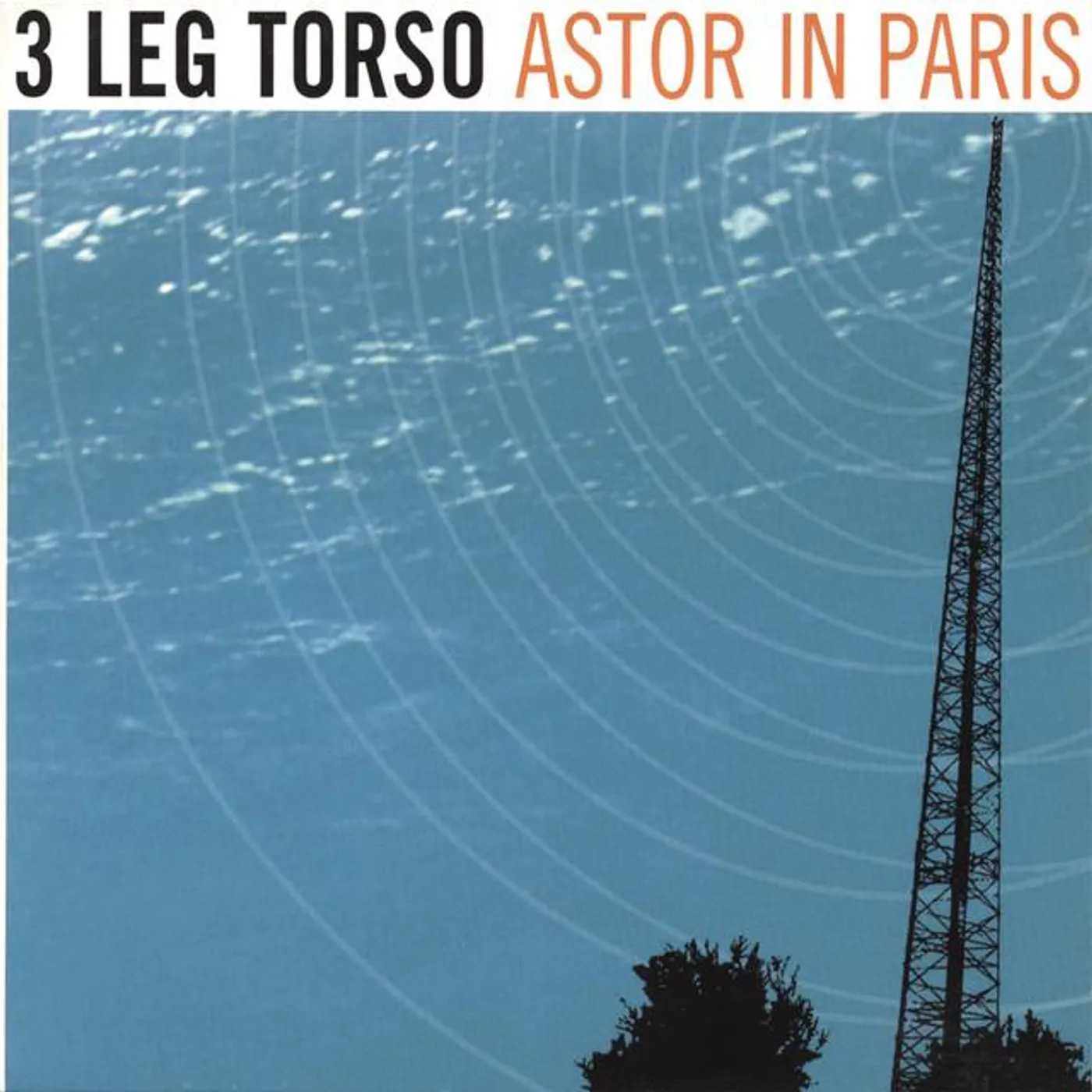3 Leg Torso