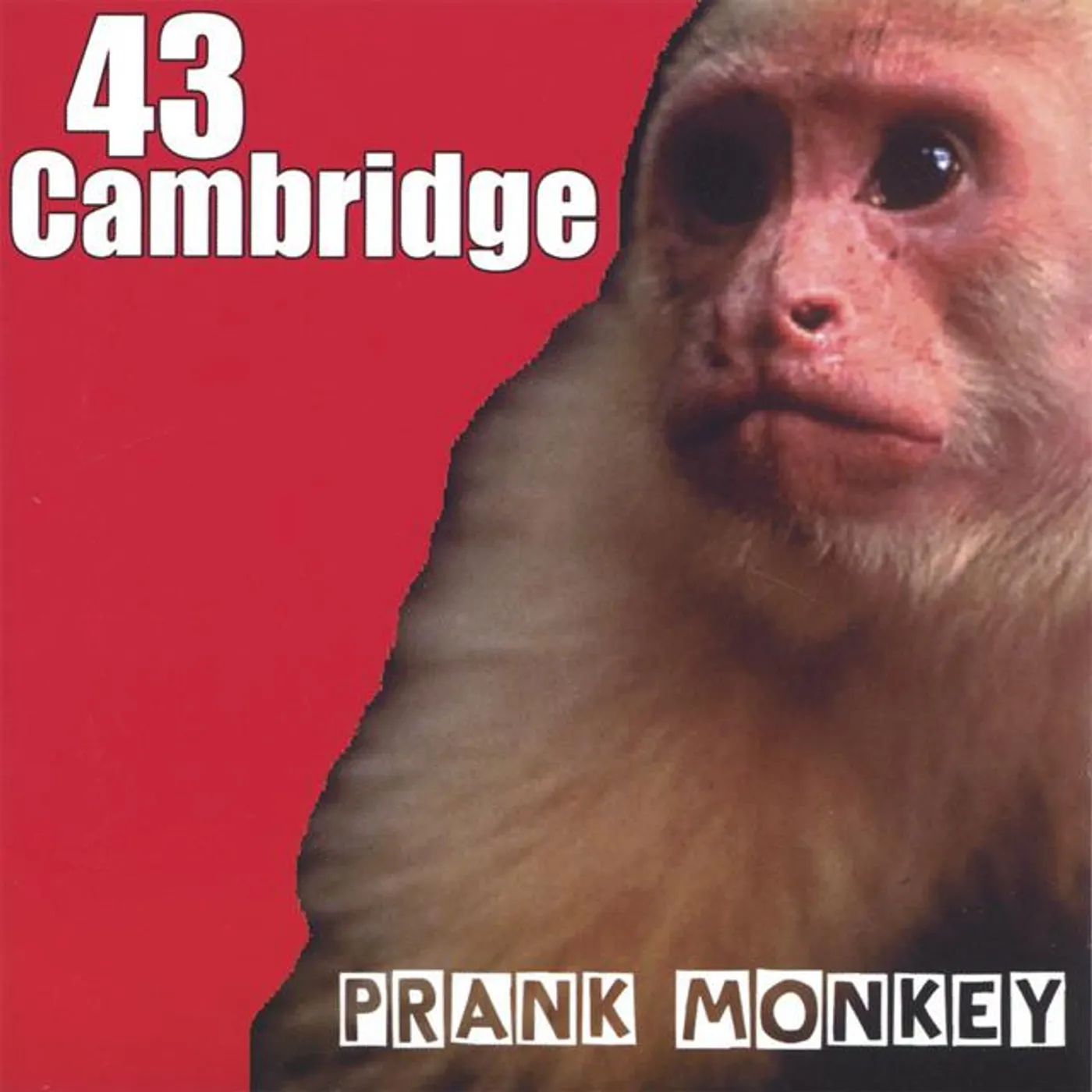 43 Cambridge