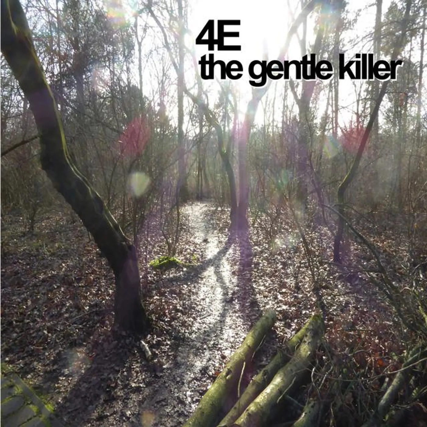 4E