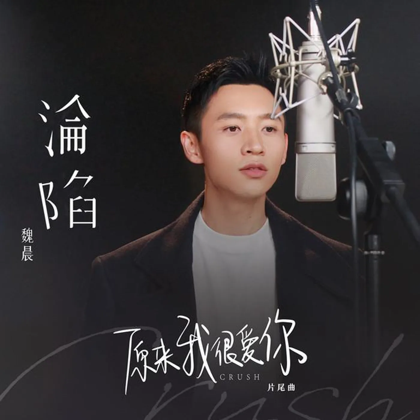 魏晨