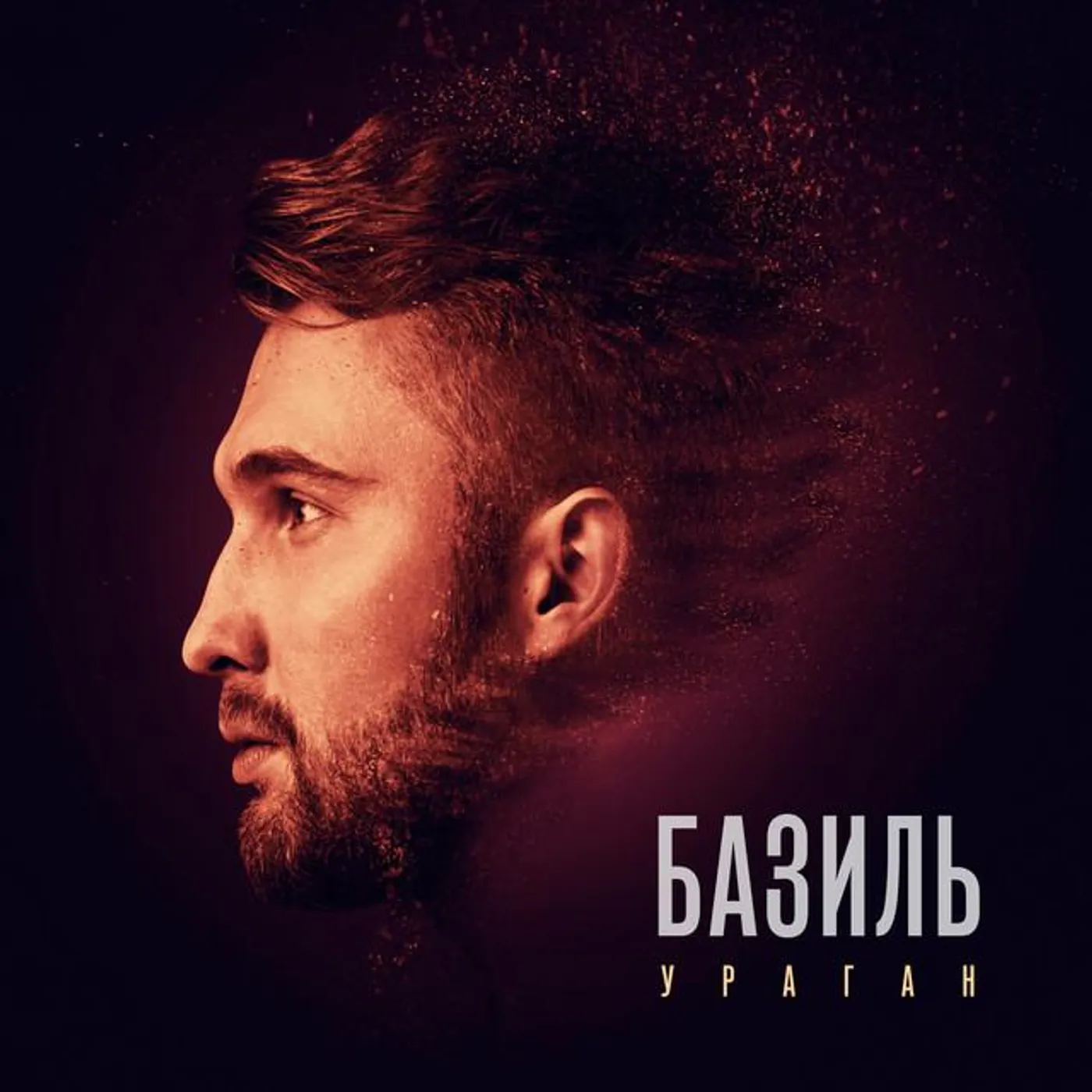 Базиль Brand Page