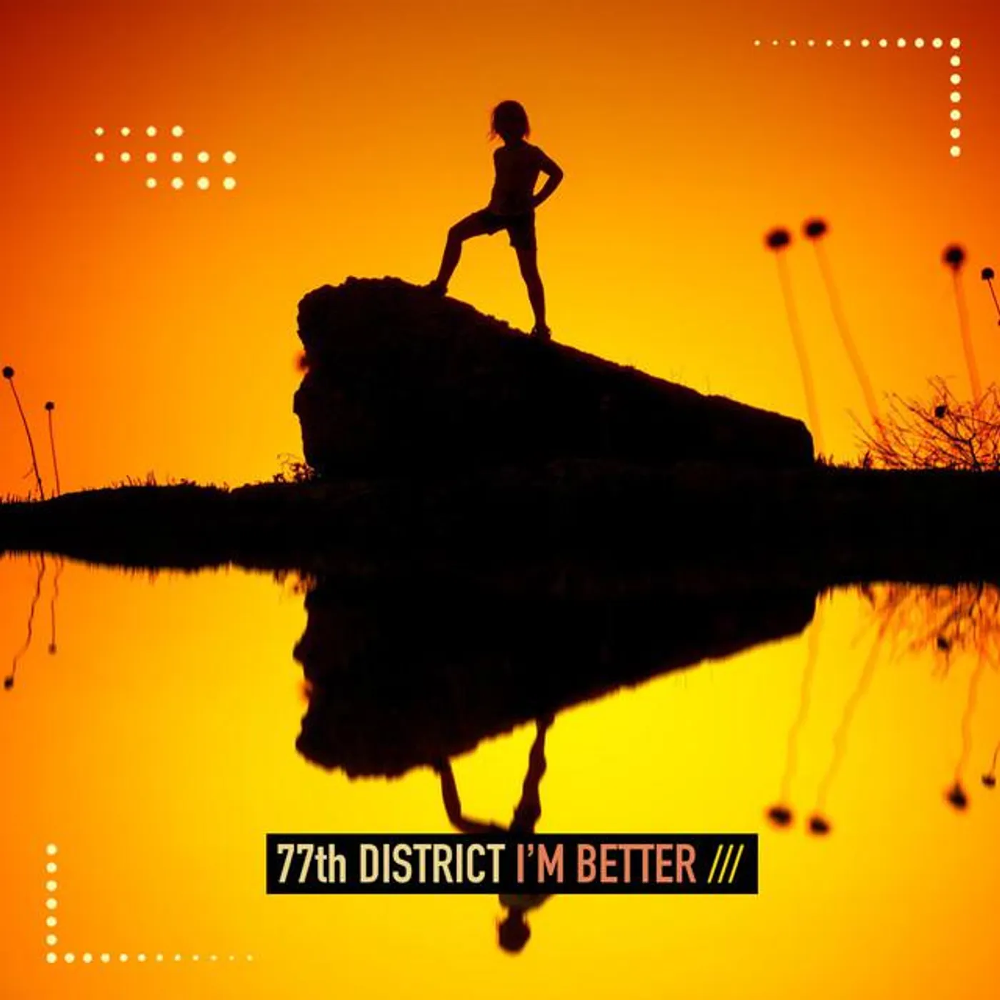 77th District