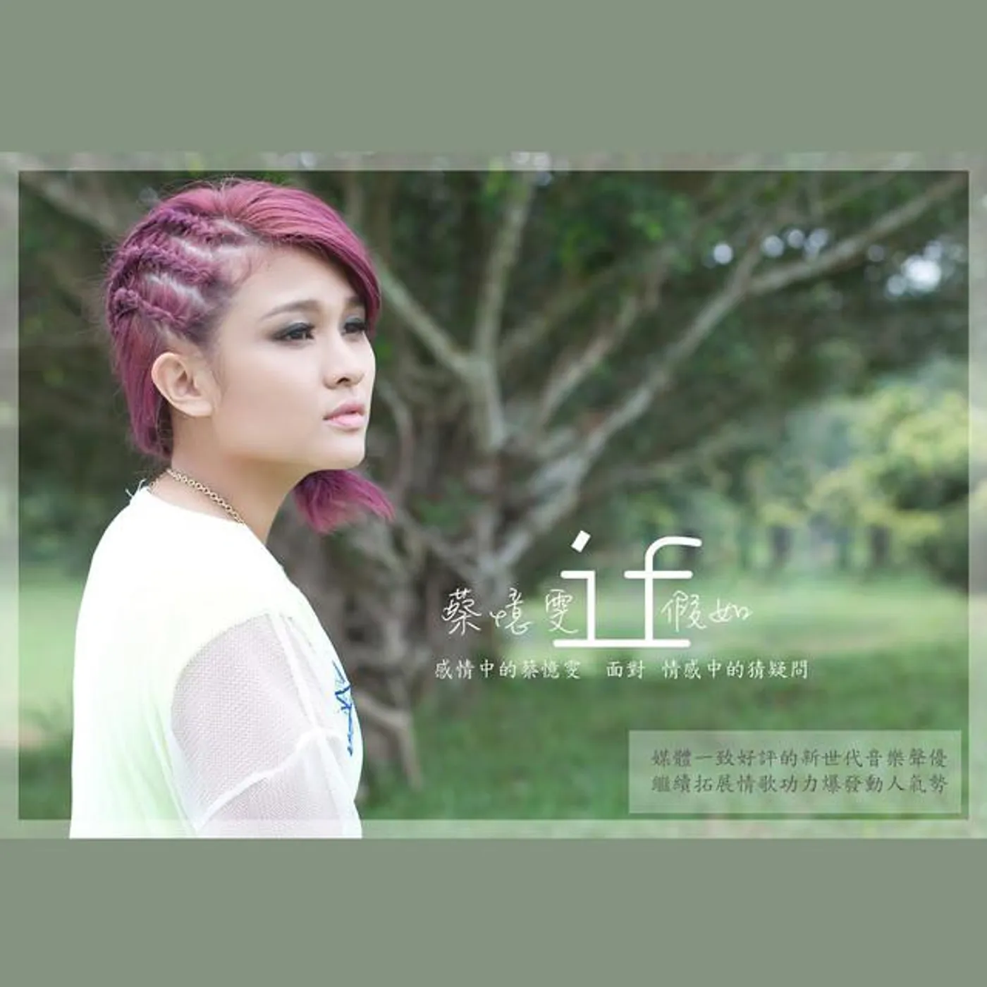 蔡忆雯