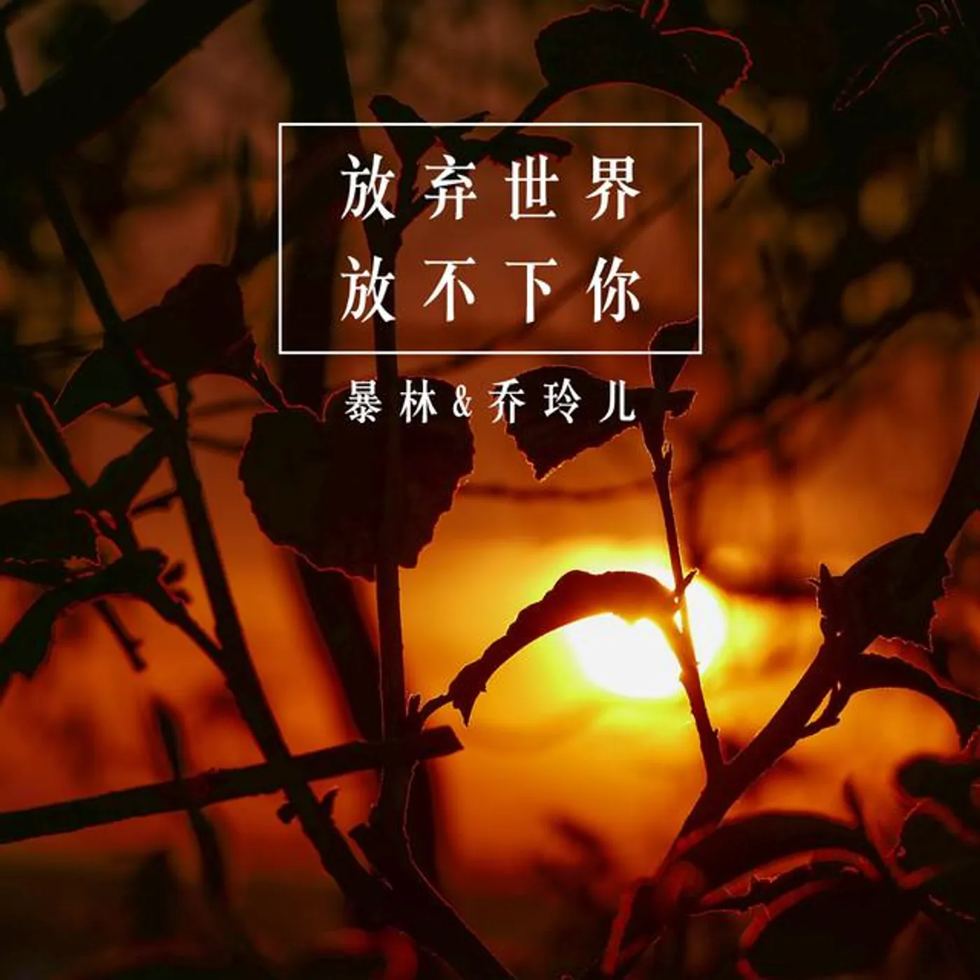 暴林