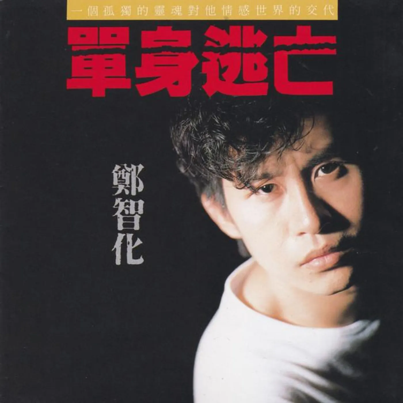 鄭智化