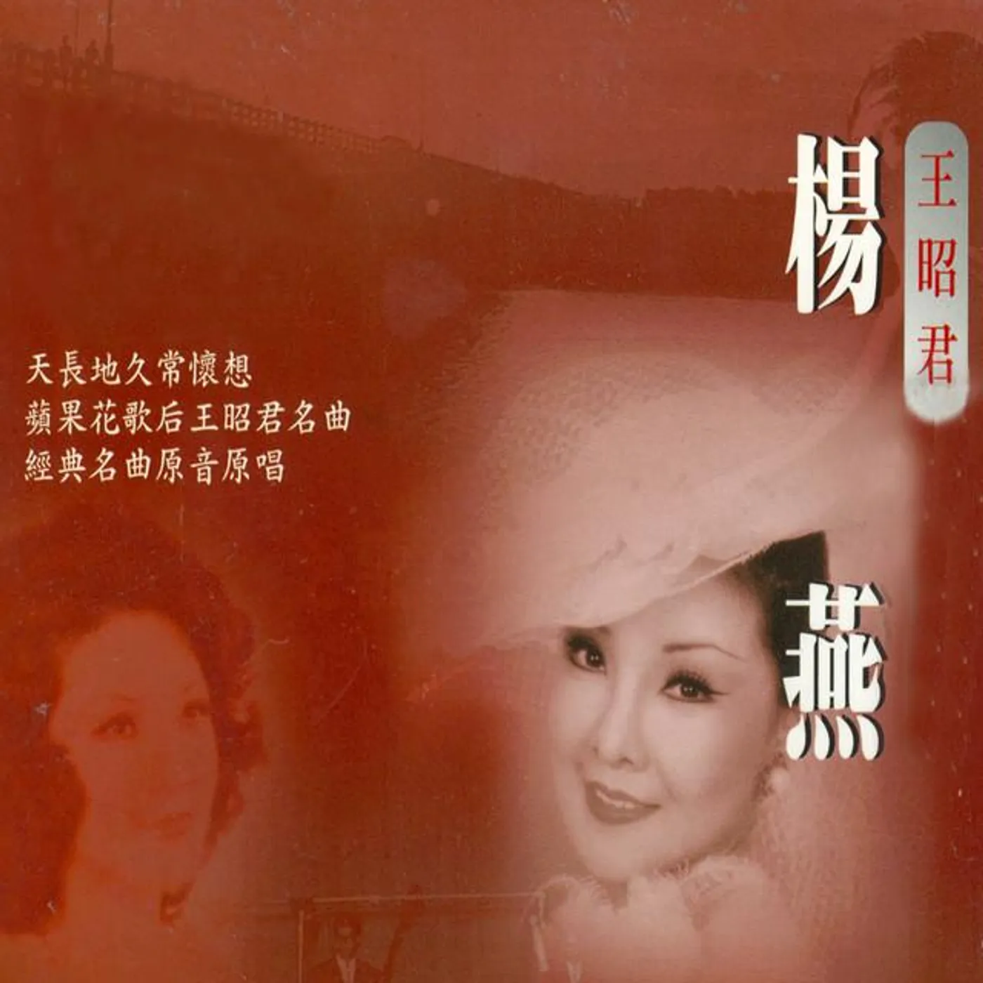 楊燕