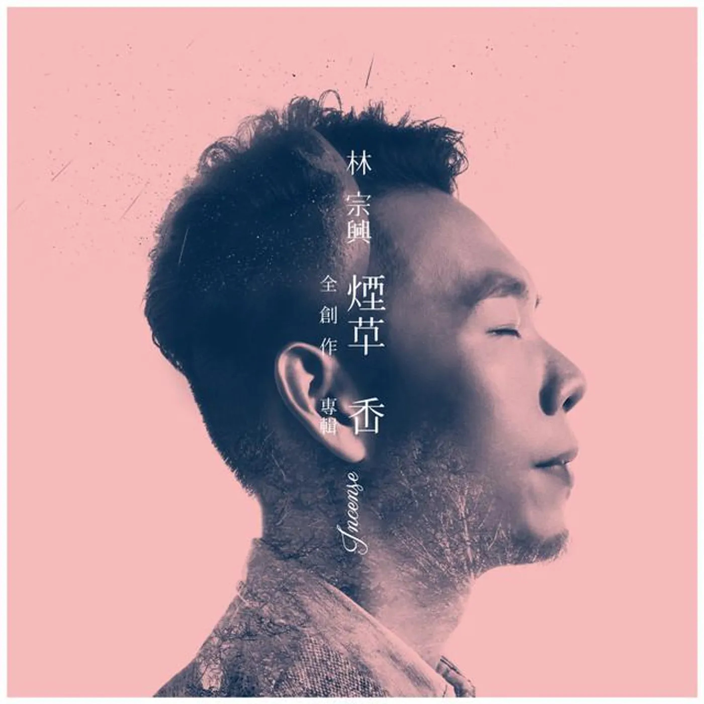 林宗興