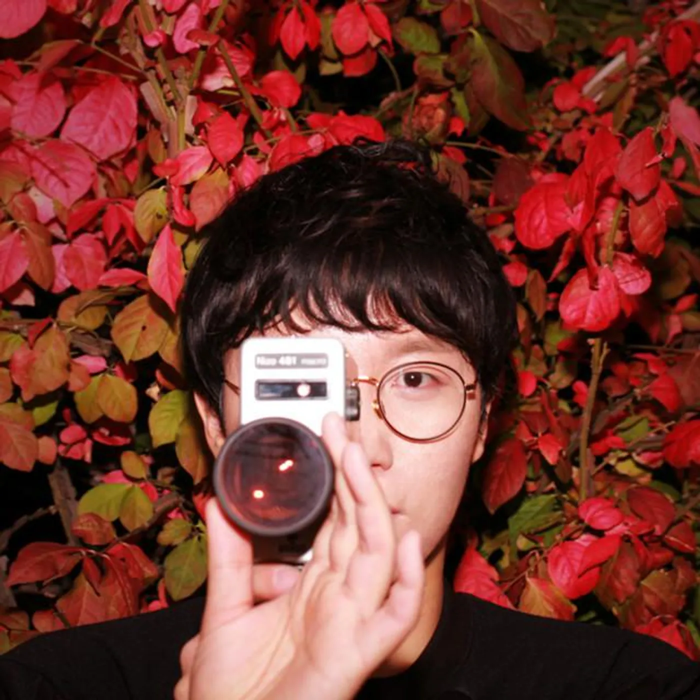 윔 WYM