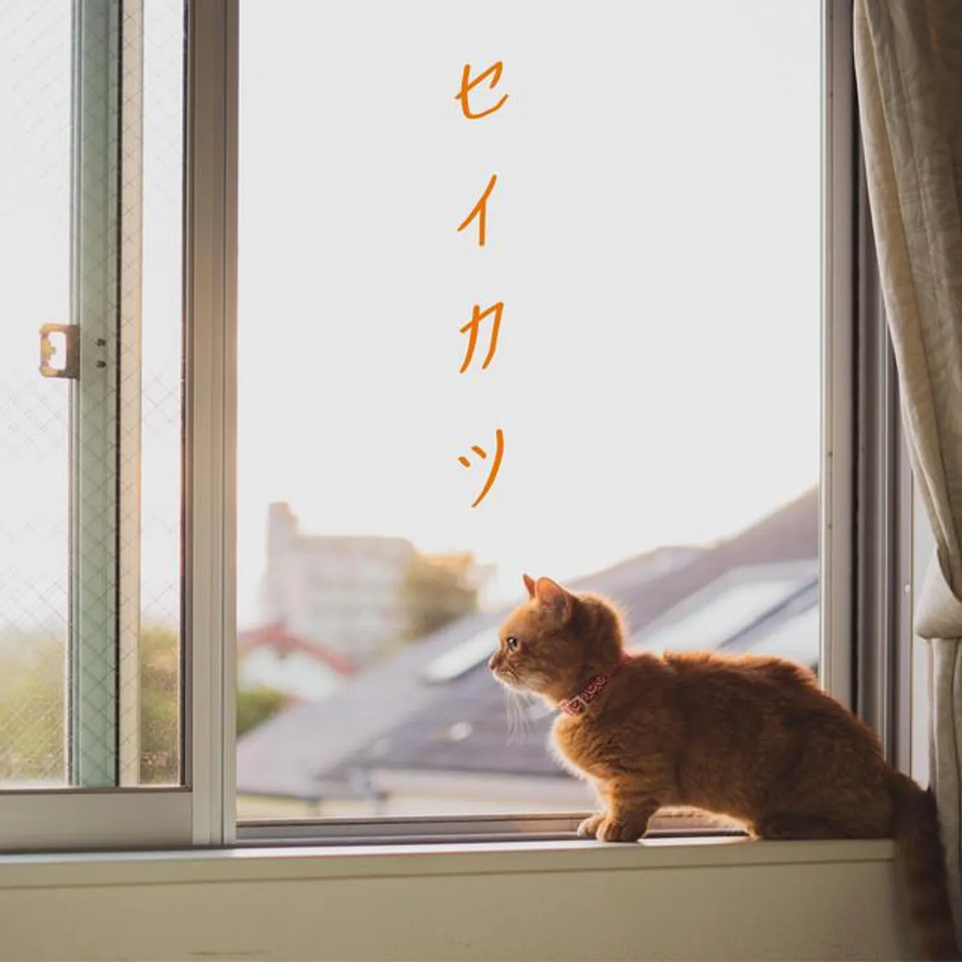 おさるのうた