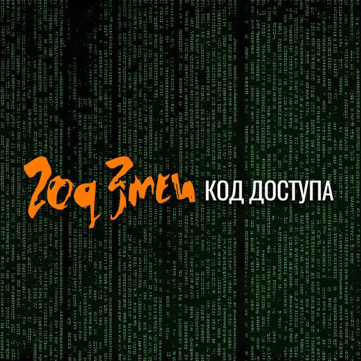 Год Змеи