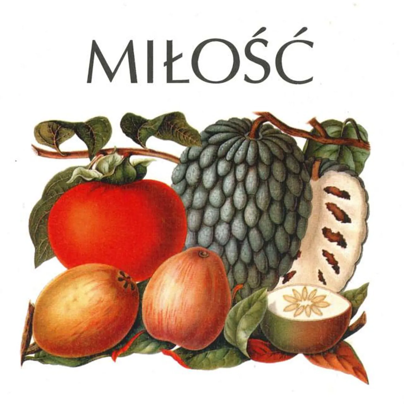 Miłość