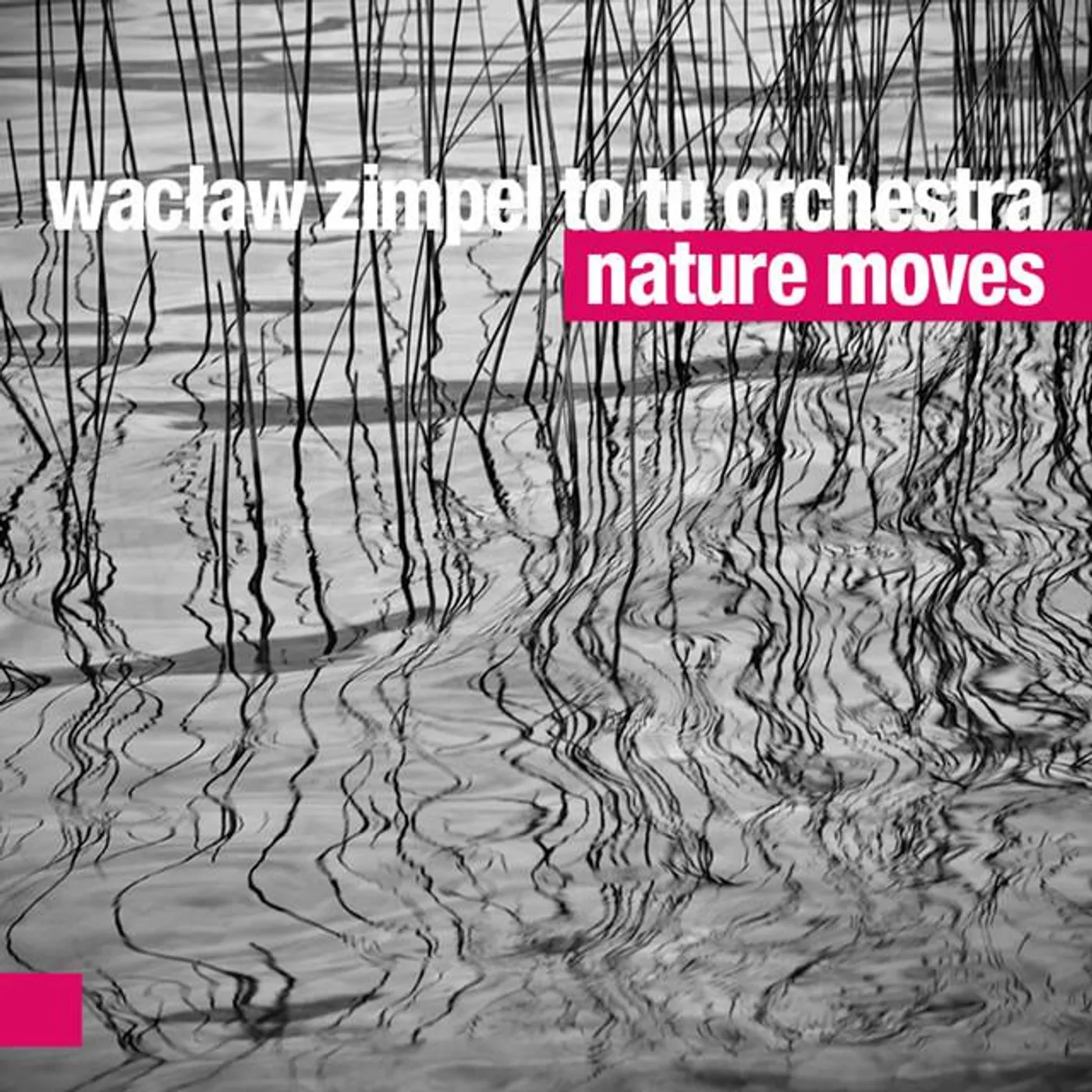 Wacław Zimpel Quartet