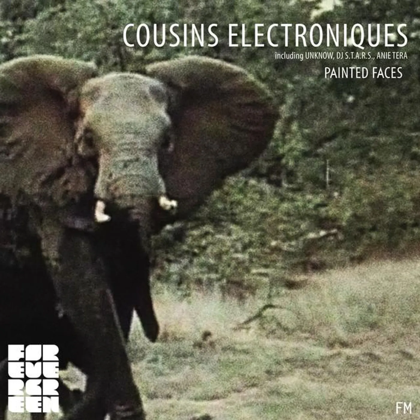 Cousins Electroniques