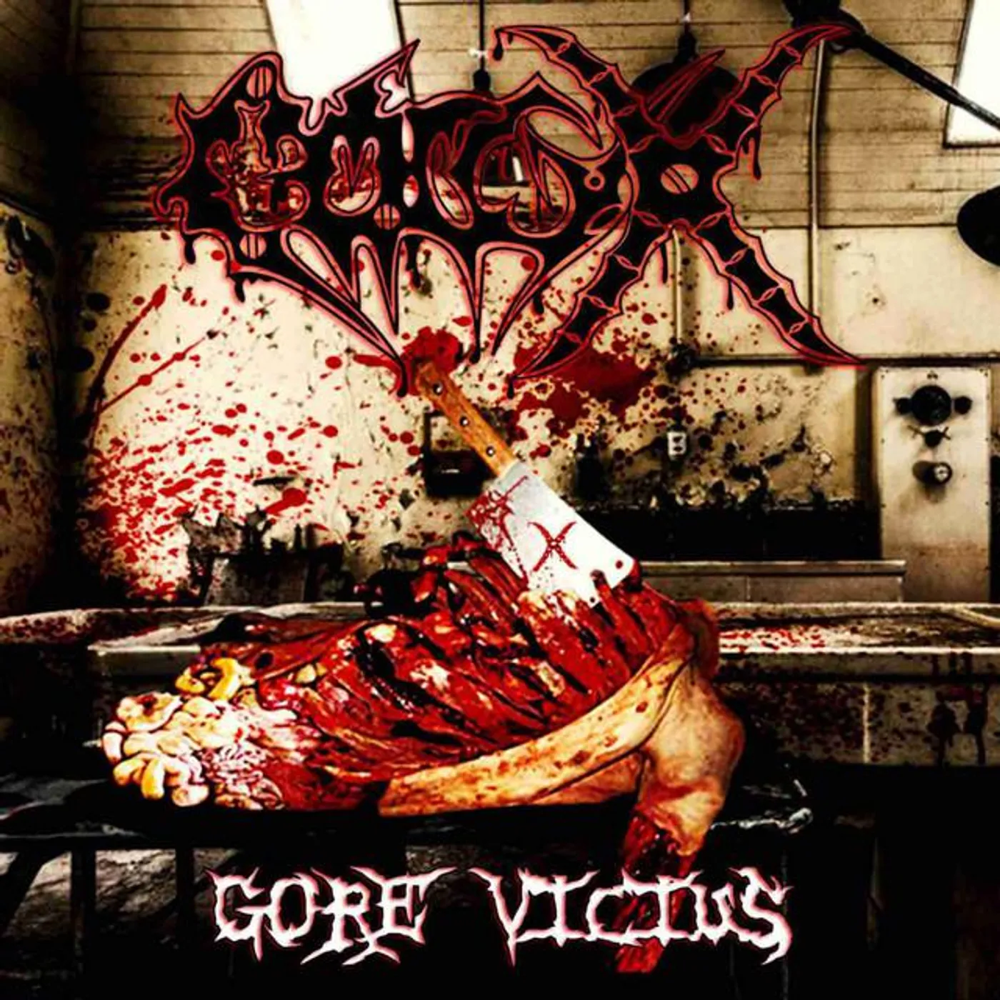 Coccyx
