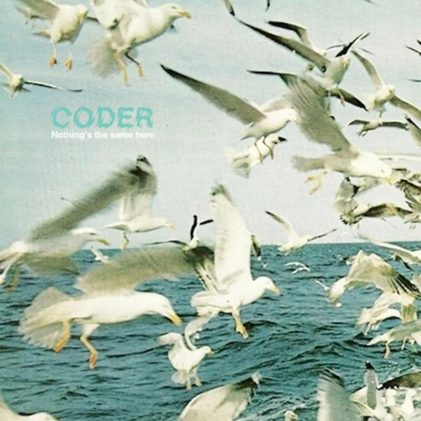 Coder Brand Page