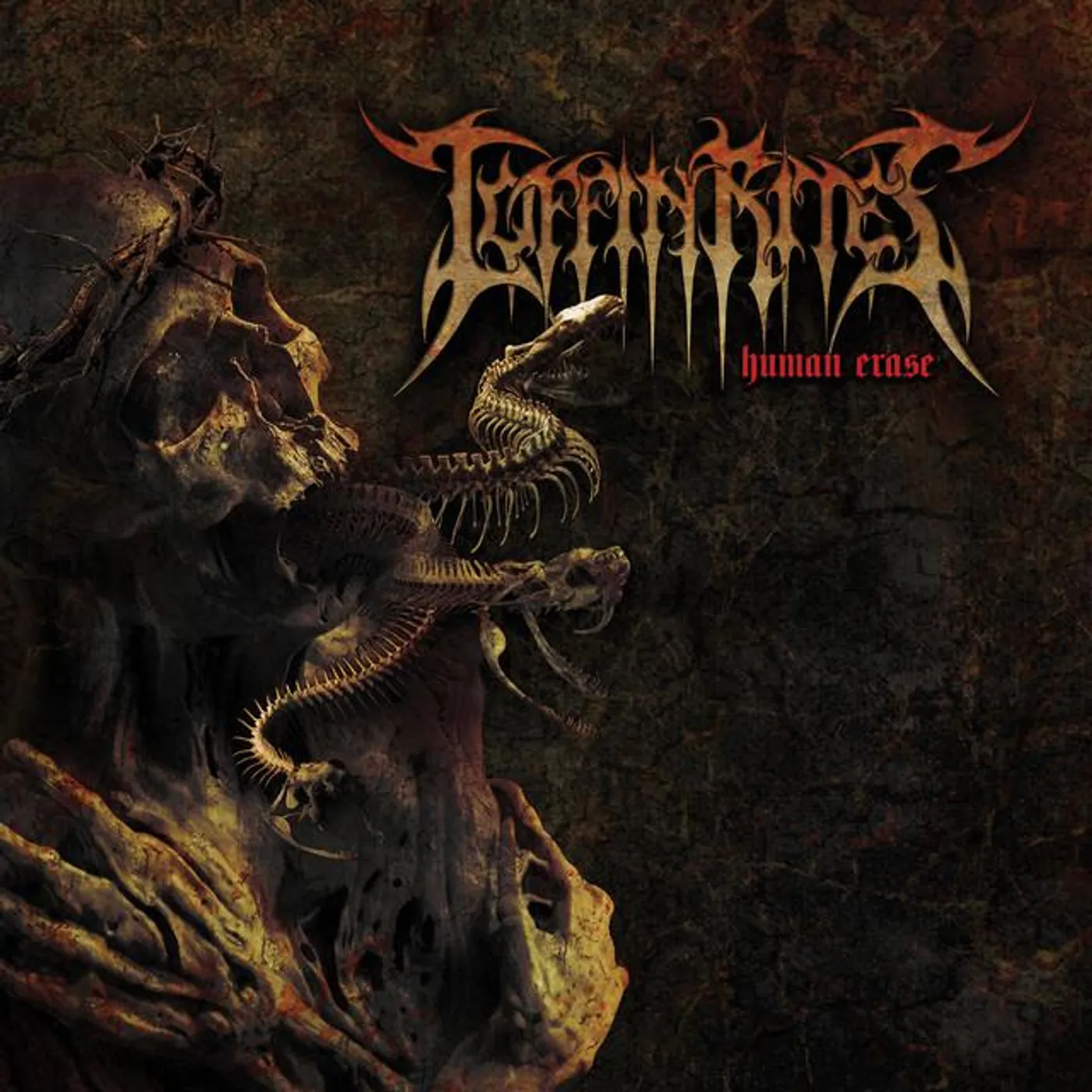Coffin Rites
