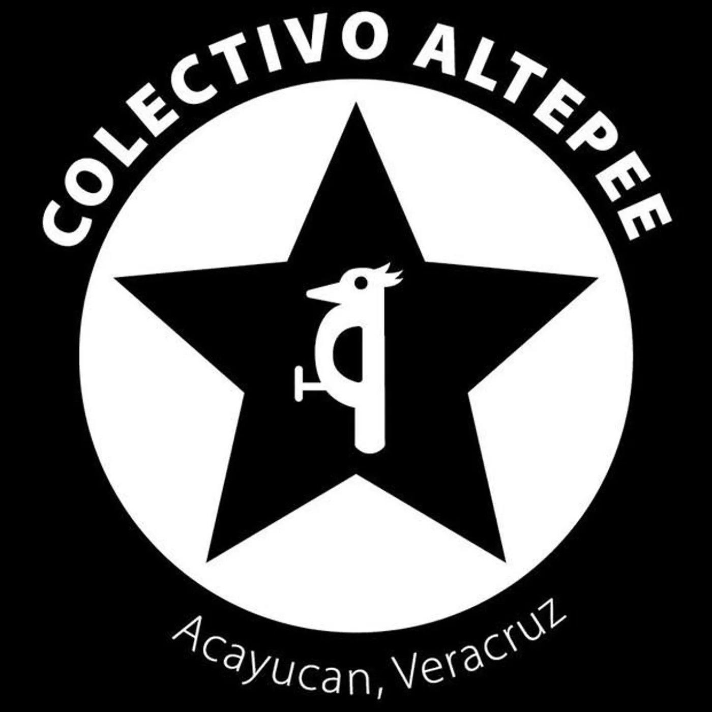 Colectivo Altepee Brand Page