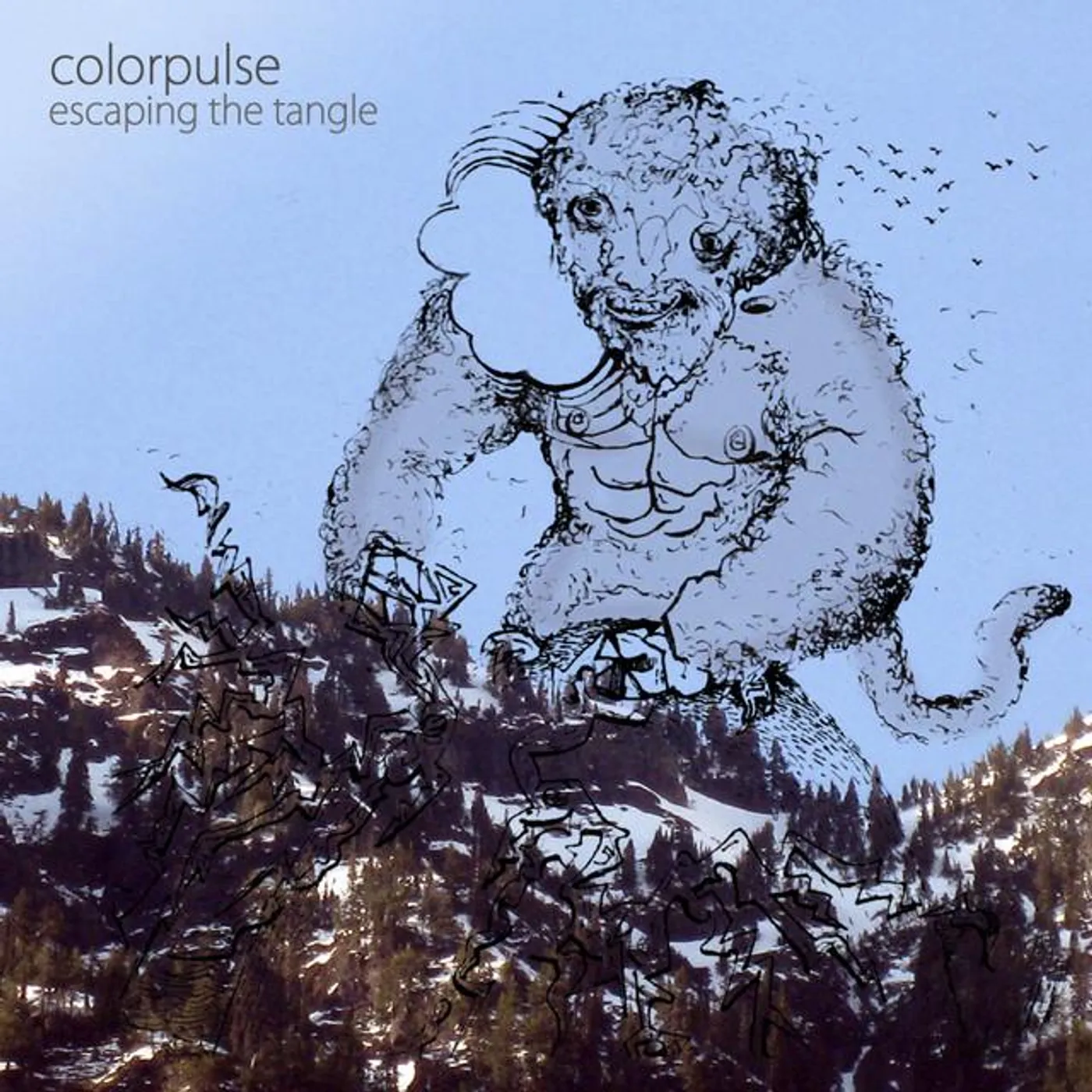 Colorpulse