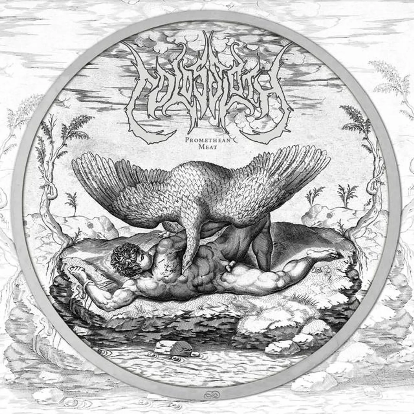 Colossloth