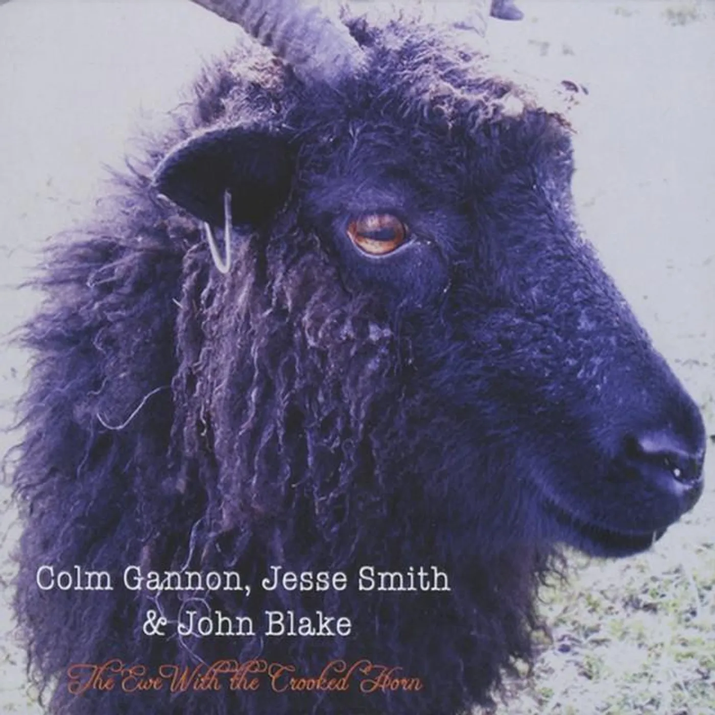 Colm Gannon, Jesse Smith & John Blake Brand Page