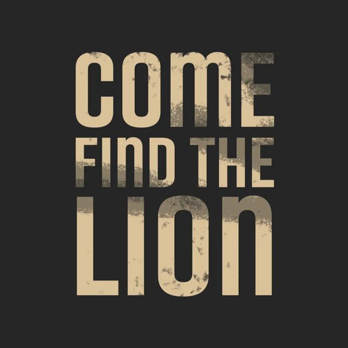 Come Find the Lion Brand Page