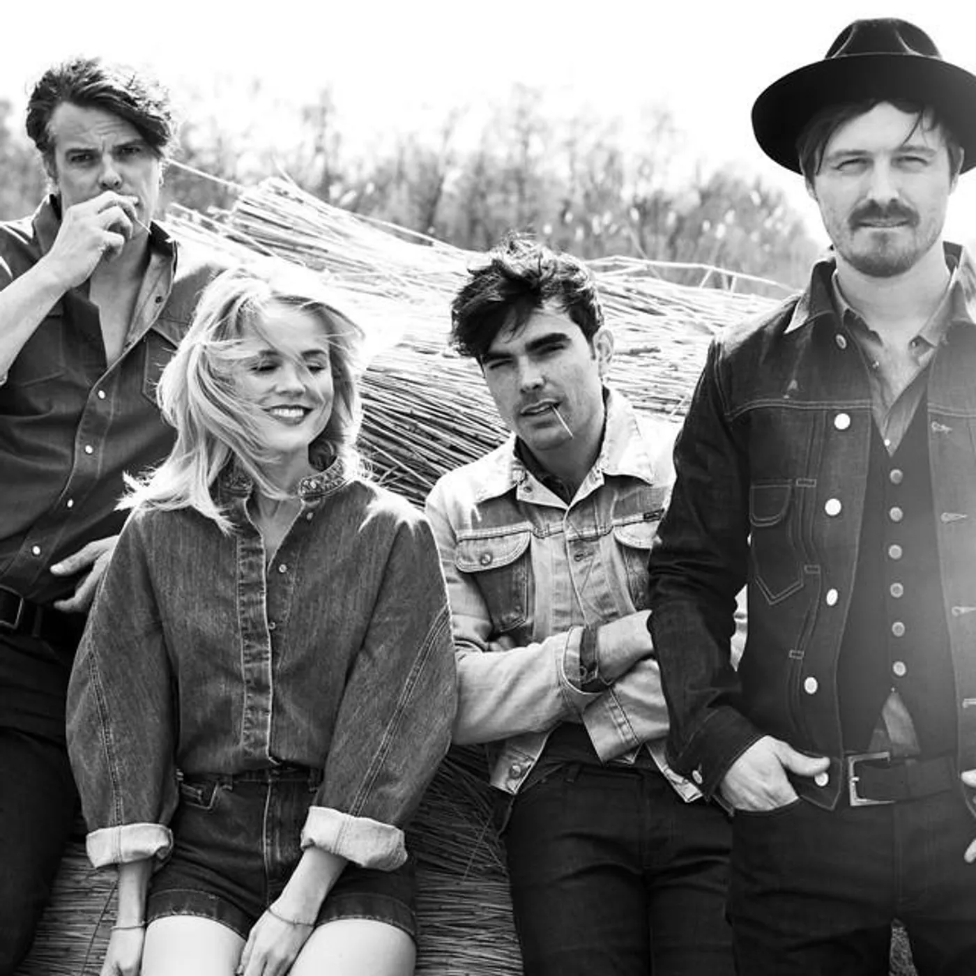 The Common Linnets Brand Page