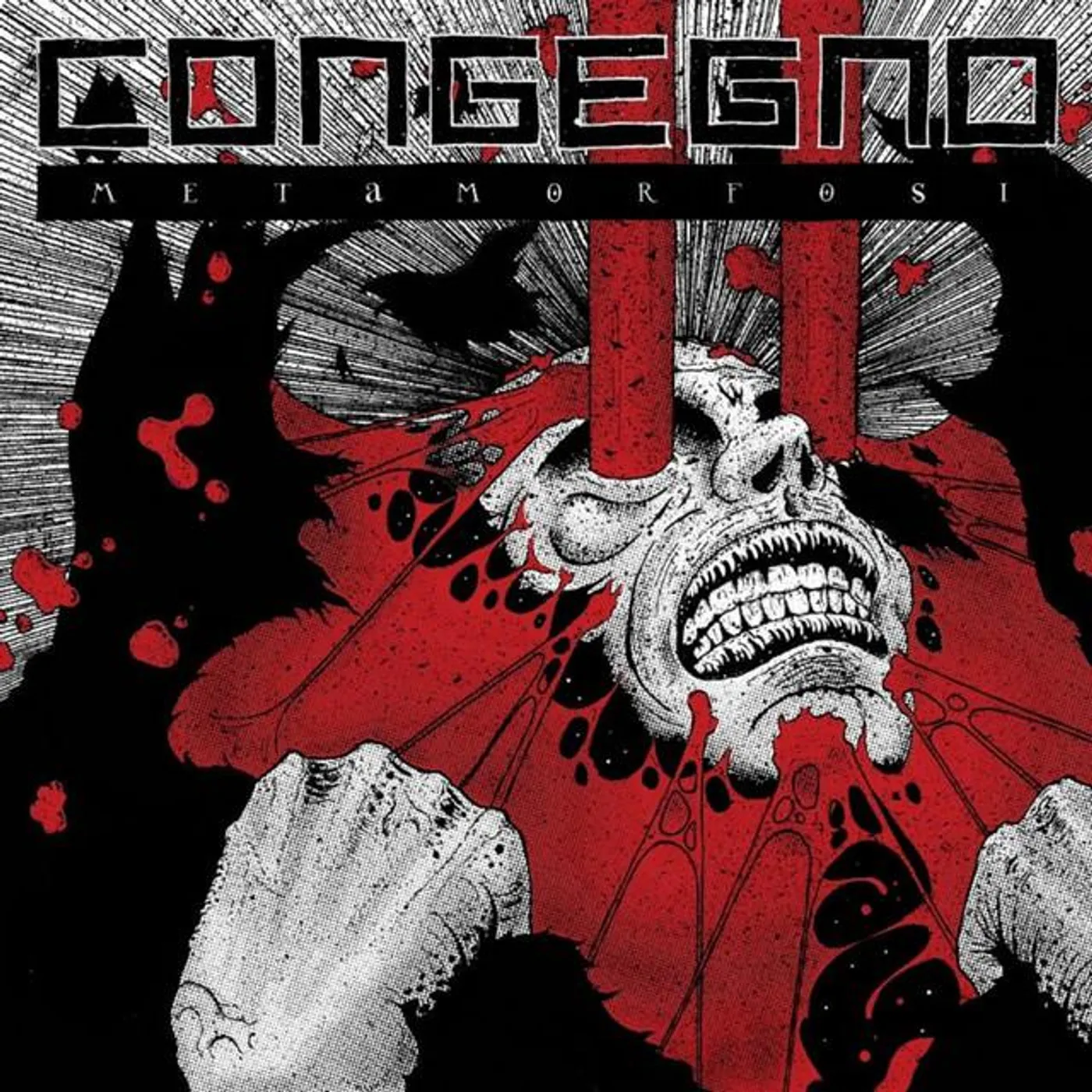 Congegno