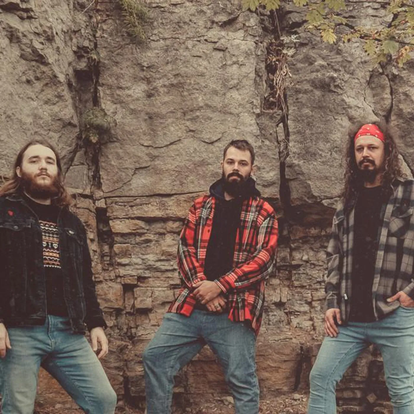 Conifer Beard Brand Page