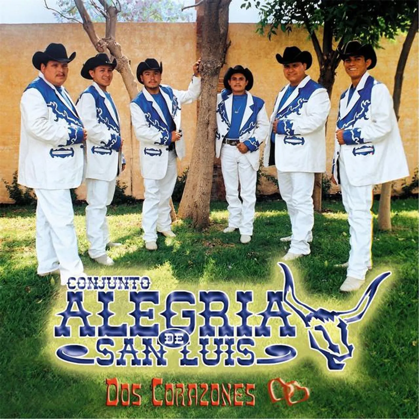 Conjunto Alegria de San Luis