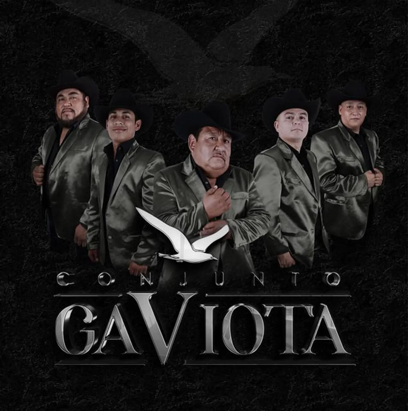 Conjunto Gaviota