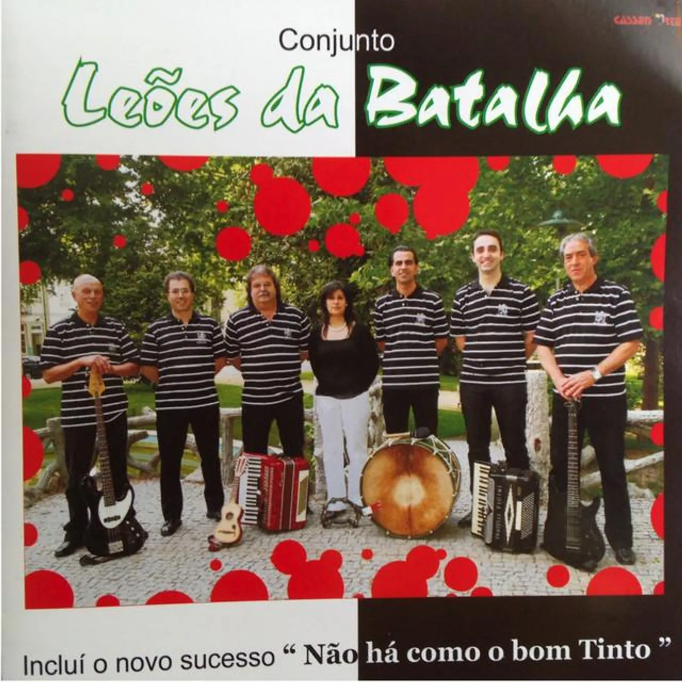 Conjunto Leões Da Batalha Brand Page