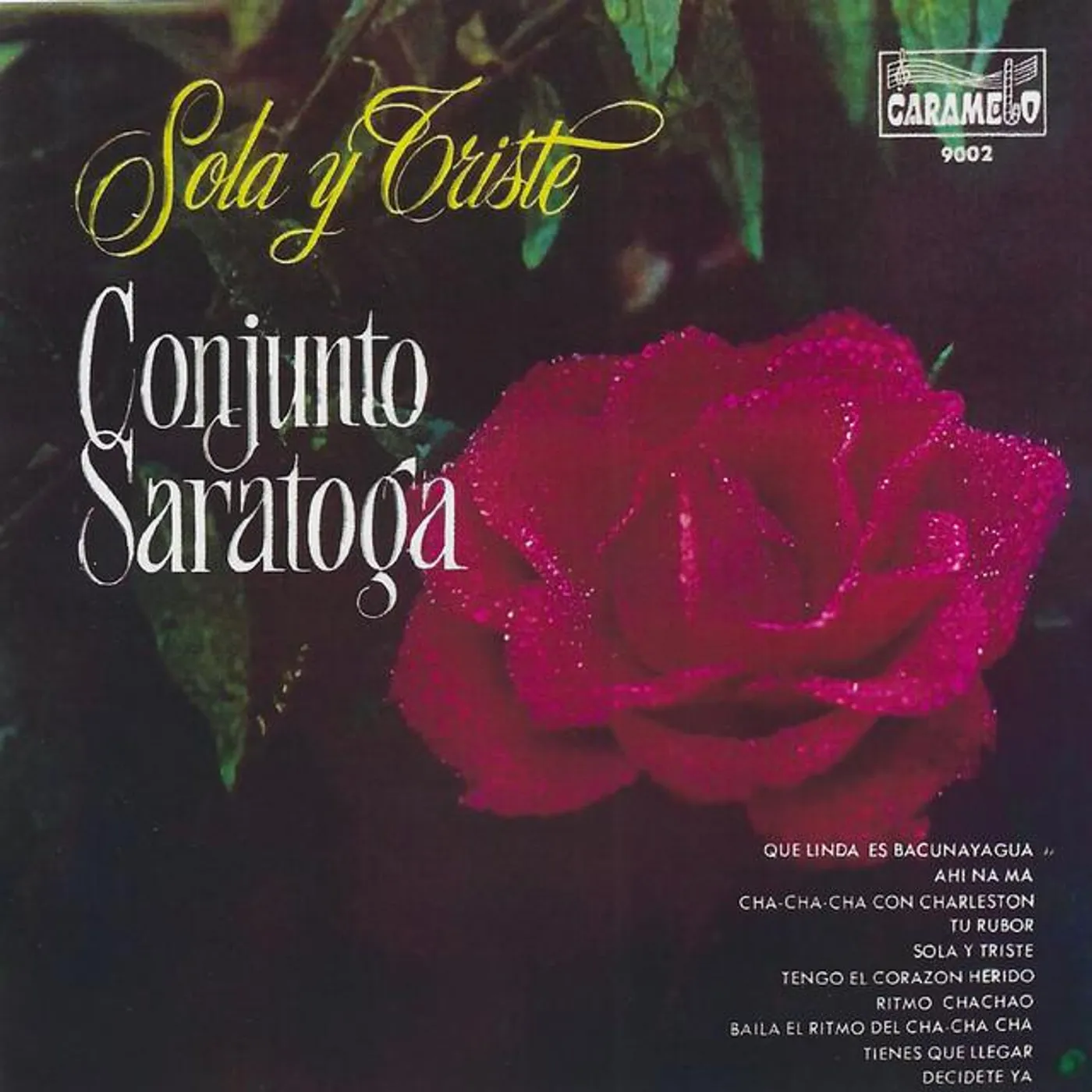 Conjunto Saratoga Brand Page