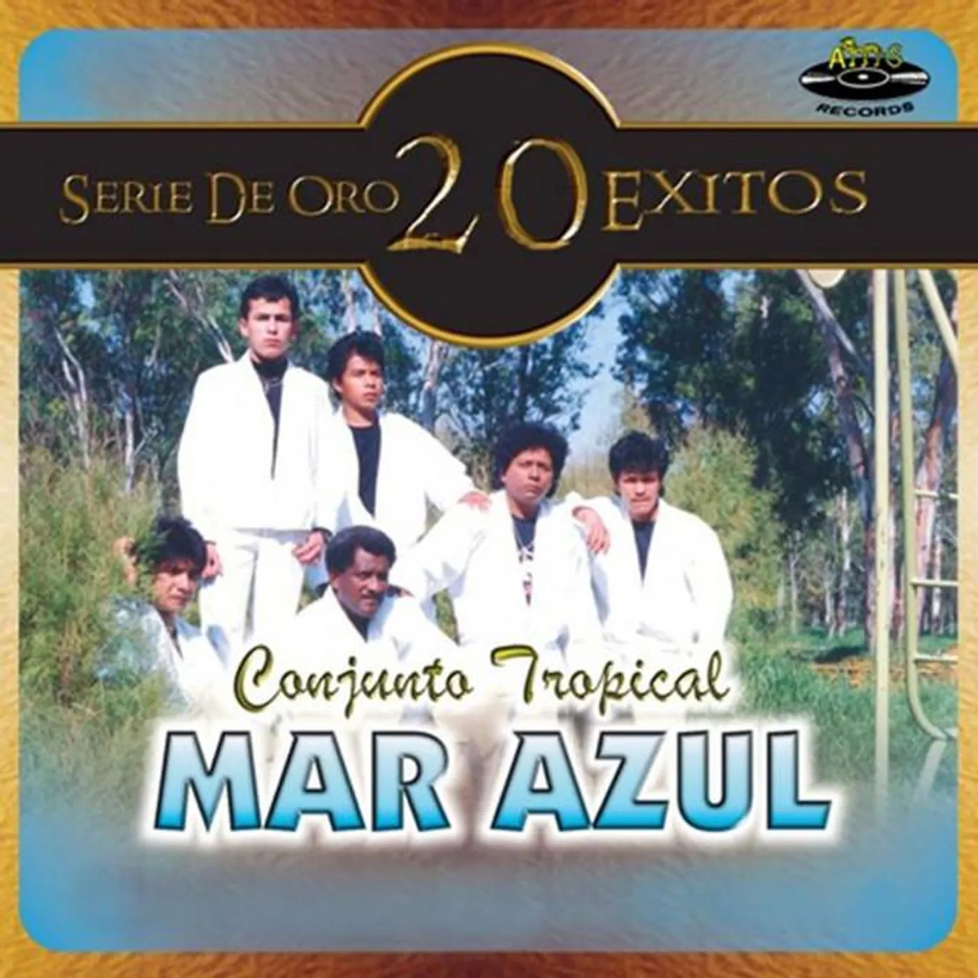 Conjunto Tropical Mar Azul Brand Page