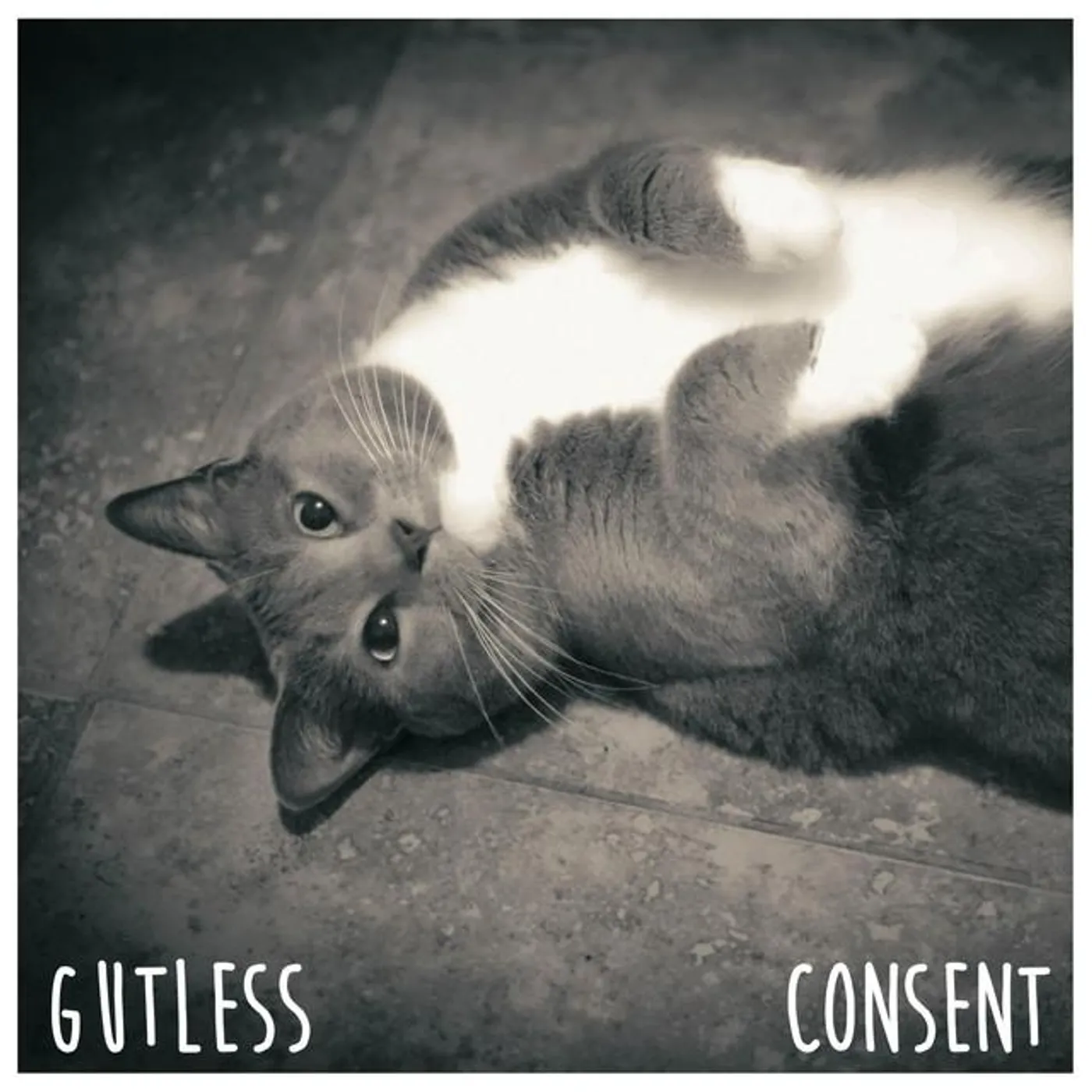 Consent Brand Page