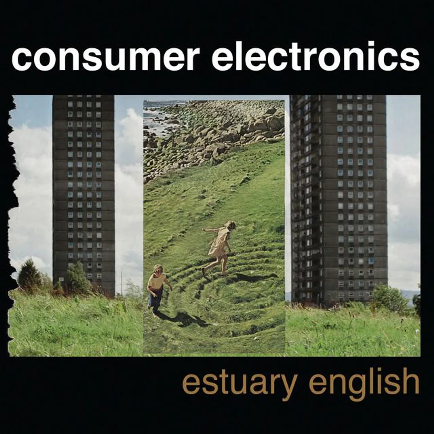 Consumer Electronics Brand Page