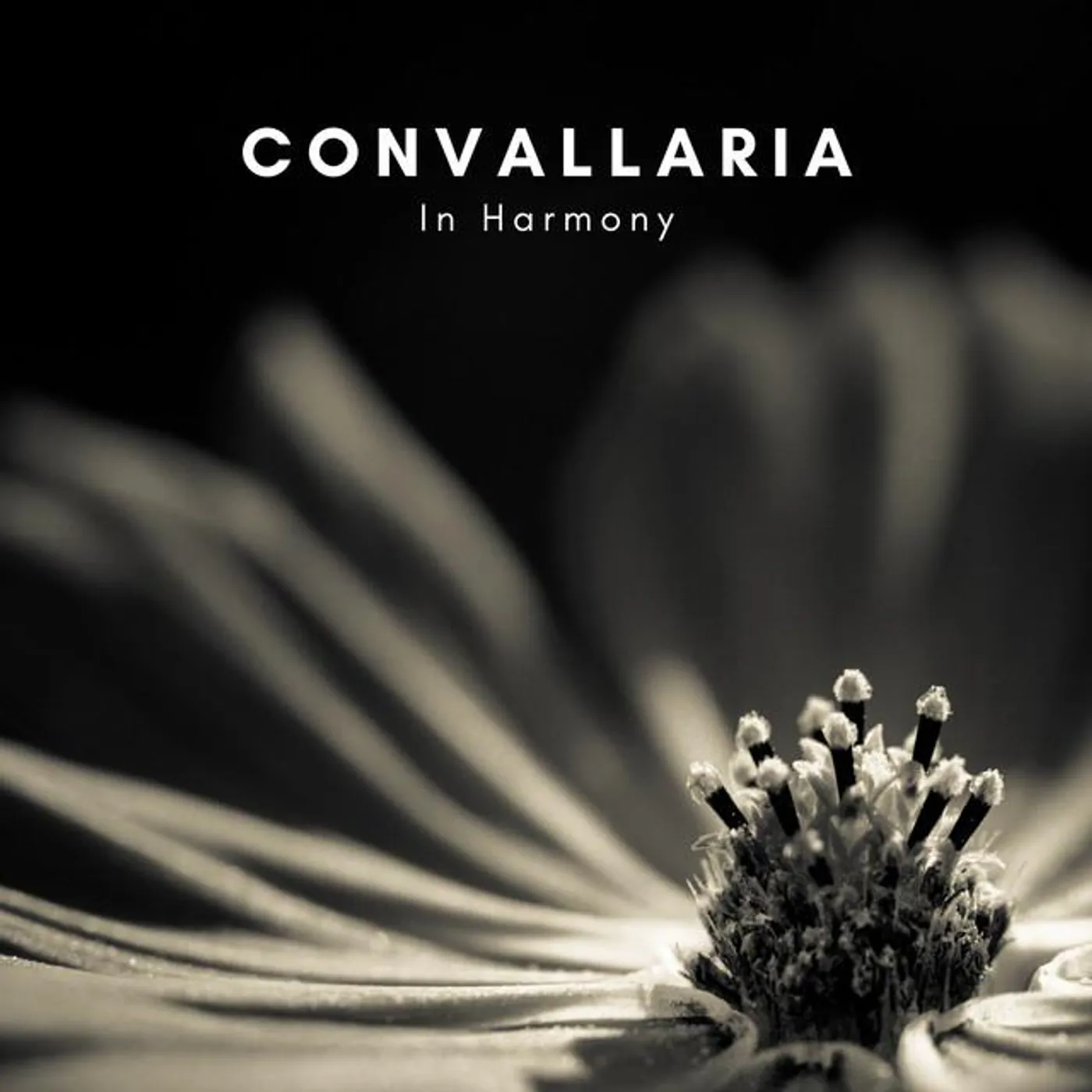 Convallaria