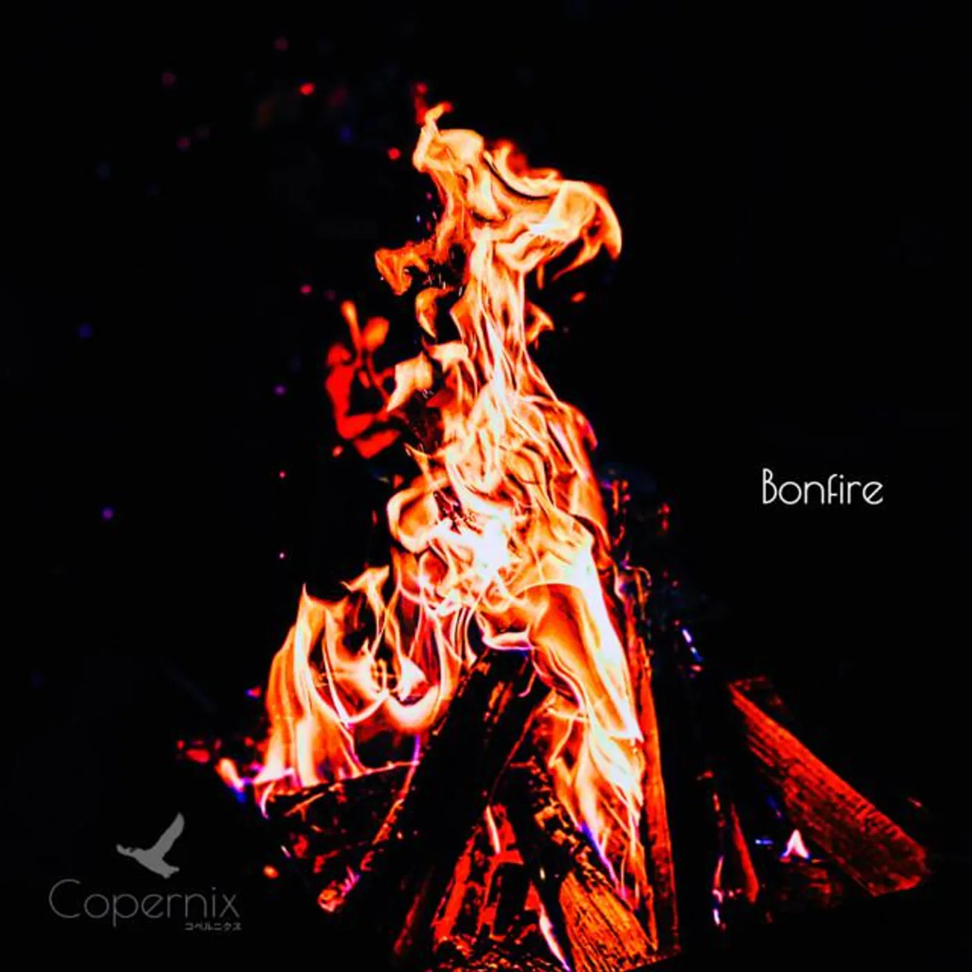 Copernix