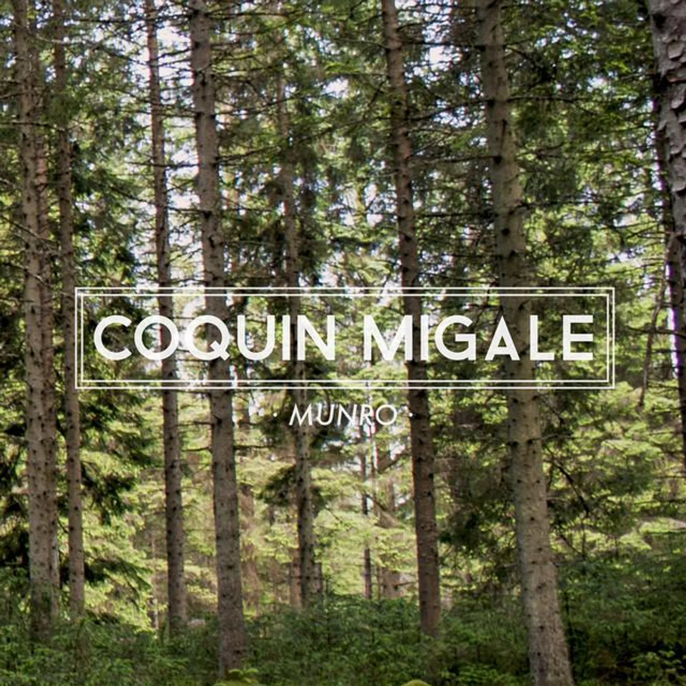 Coquin Migale