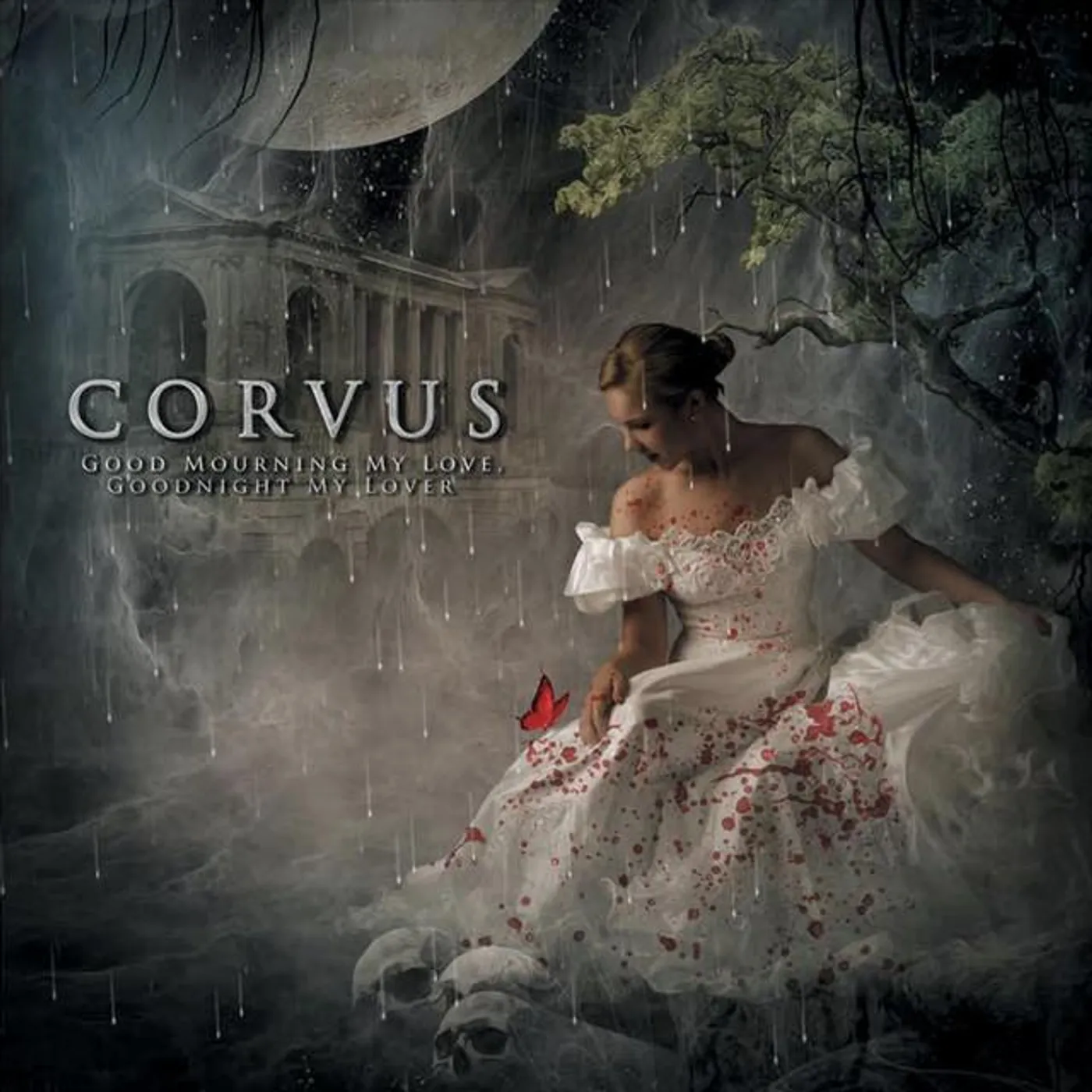 Corvus