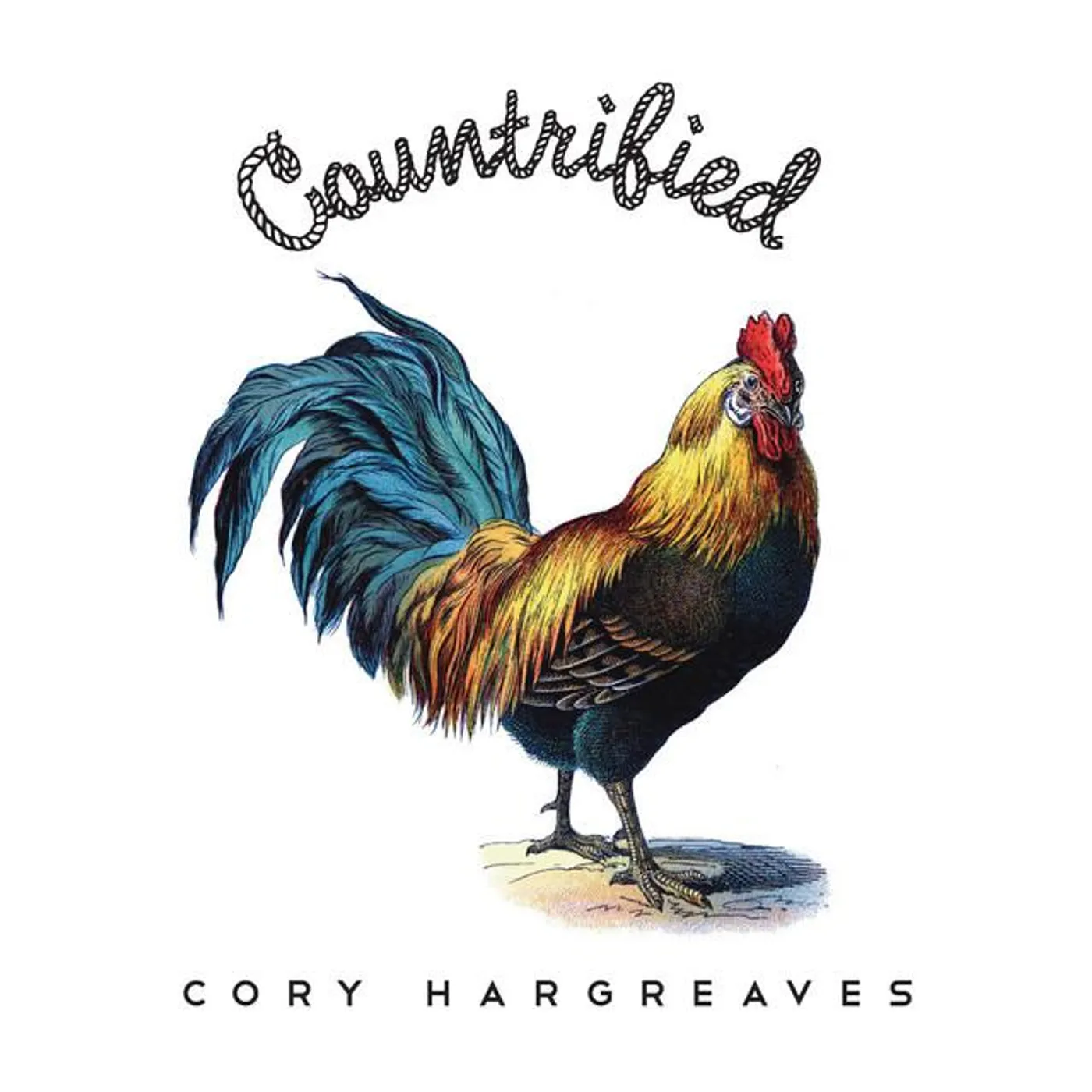 Cory Hargreaves
